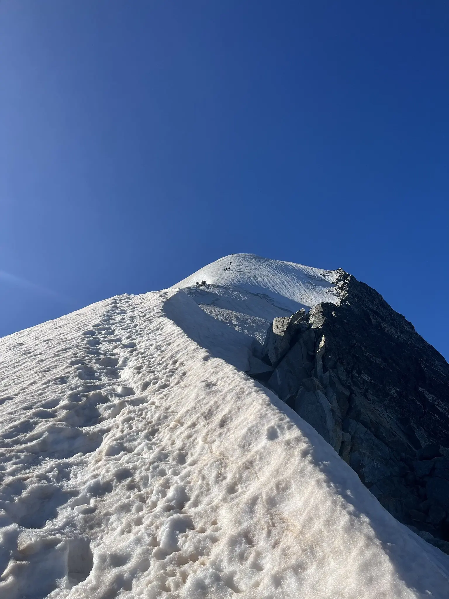 Aufstieg zum Piz Palü (Hauptgipfel) | © W. Schwarz