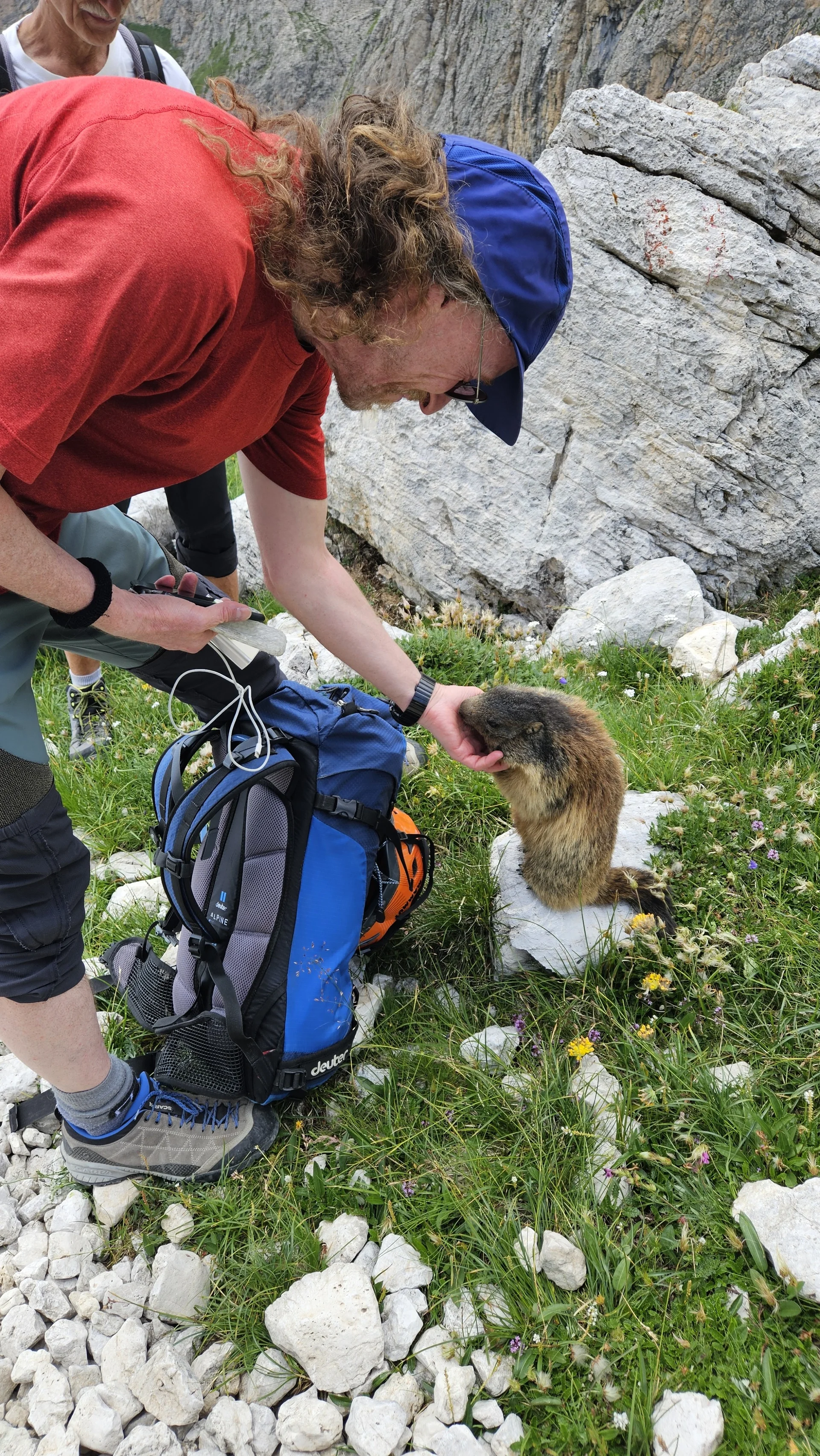 Murmeltier | © Anke Steinfeld