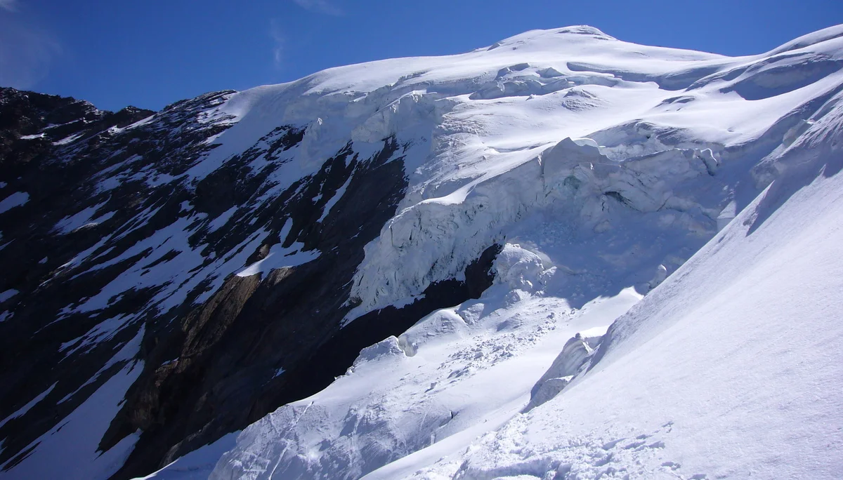 Weismies | © W. Schwarz