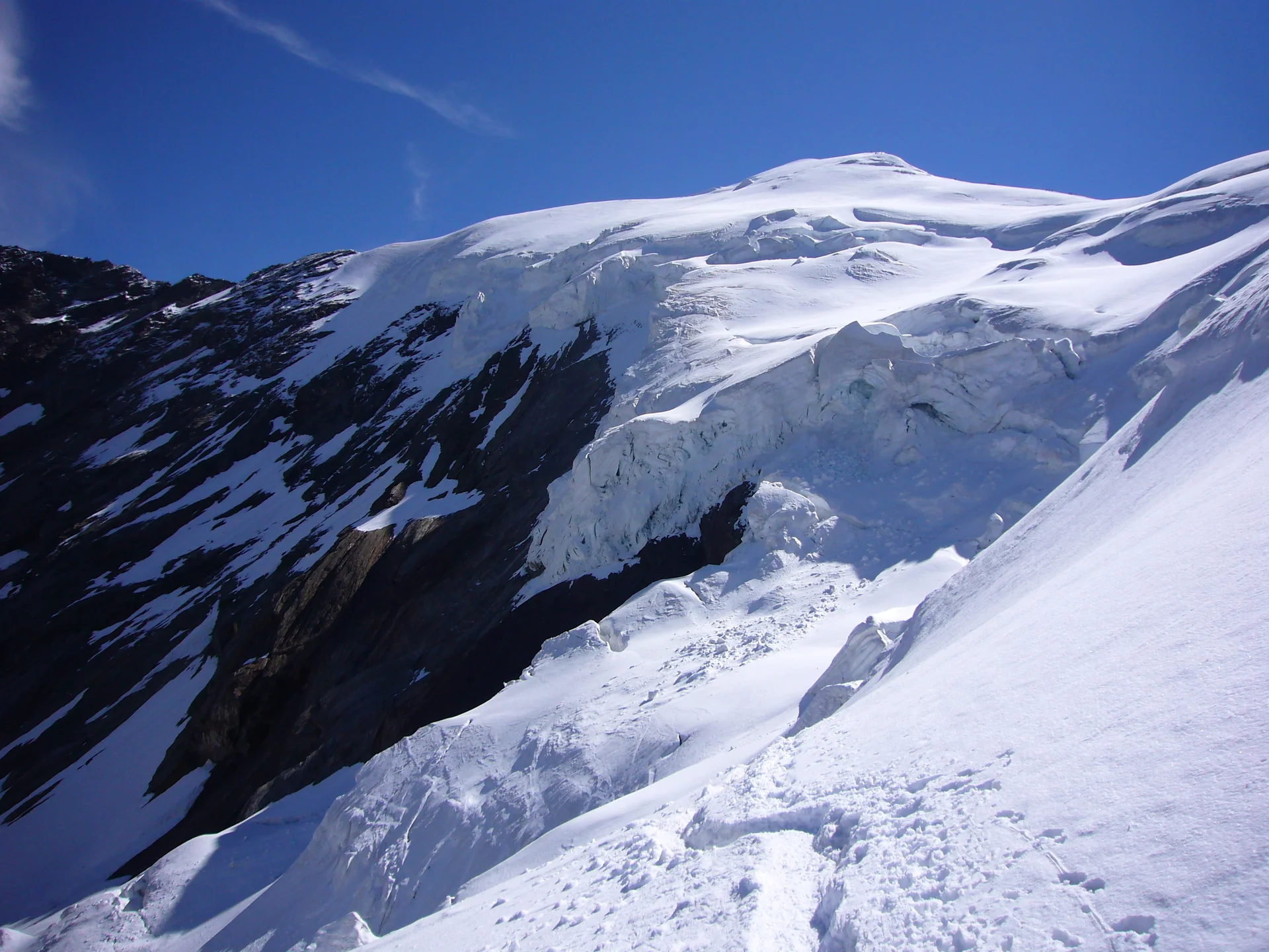 Weismies | © W. Schwarz