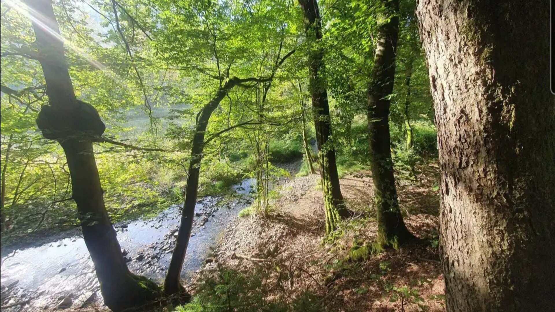 Eifgenbachtal | © Anke Steinfeld Eifgenbachtal | © Anke Steinfeld