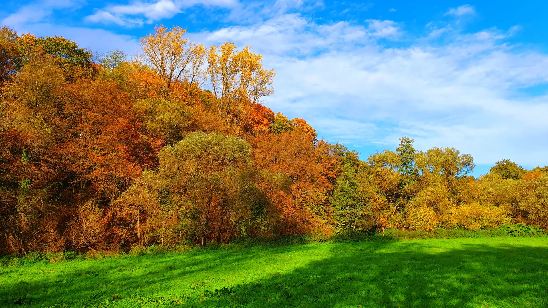 Nackerbachtal | © Anke Steinfeld