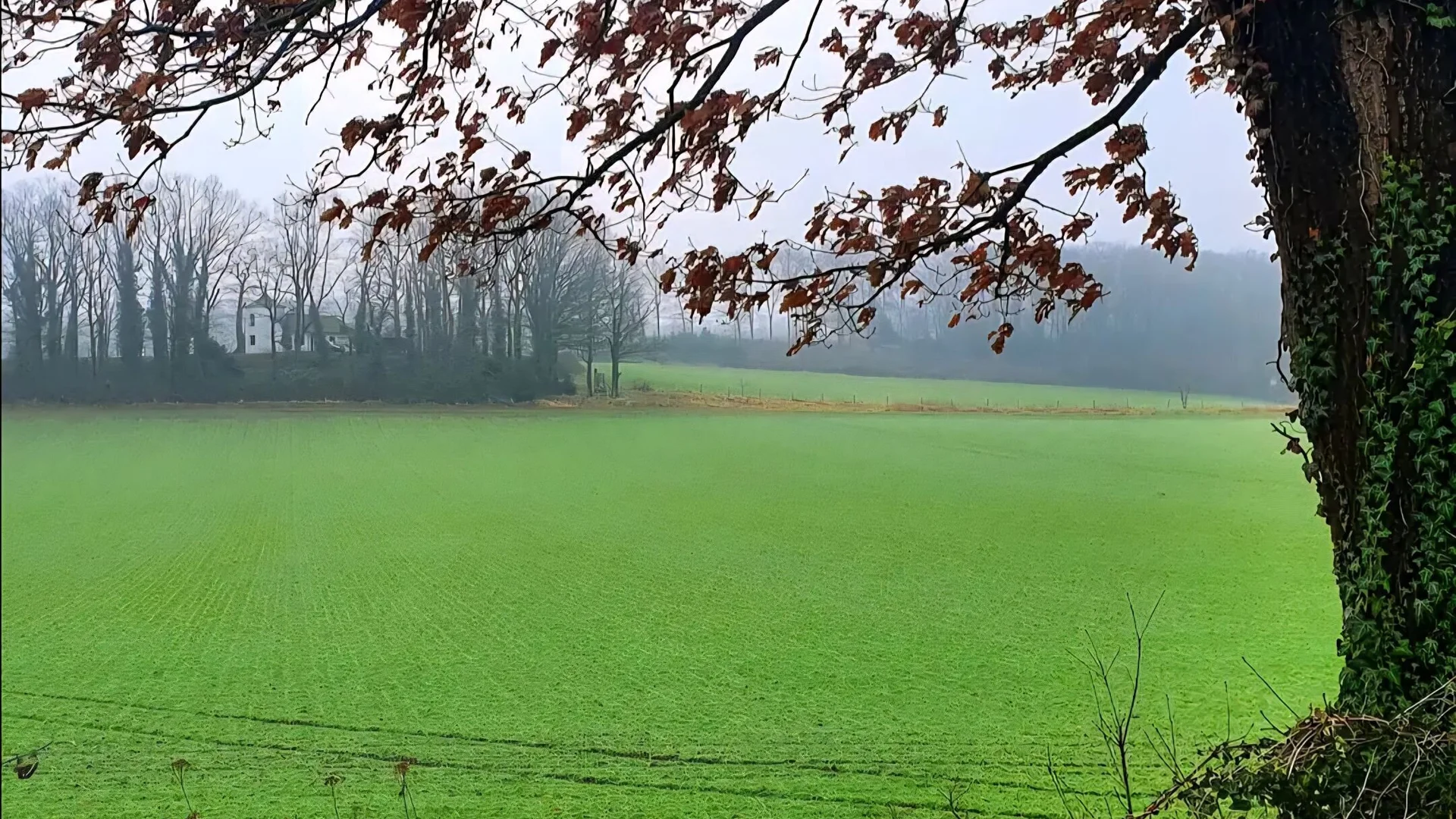 Witten | © Anke Steinfeld