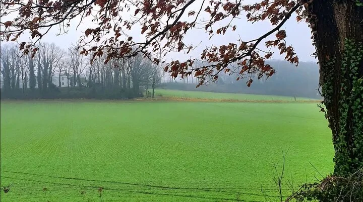 Witten | © Anke Steinfeld Witten | © Anke Steinfeld