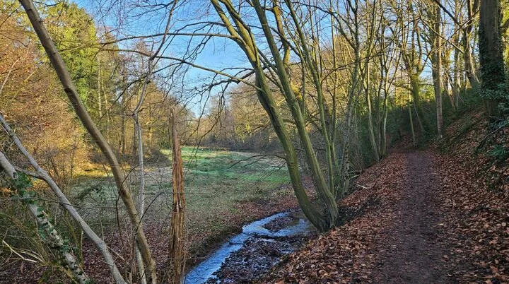 Motiv Wandern Anke Steinfeld 3 | © Anke Steinfeld