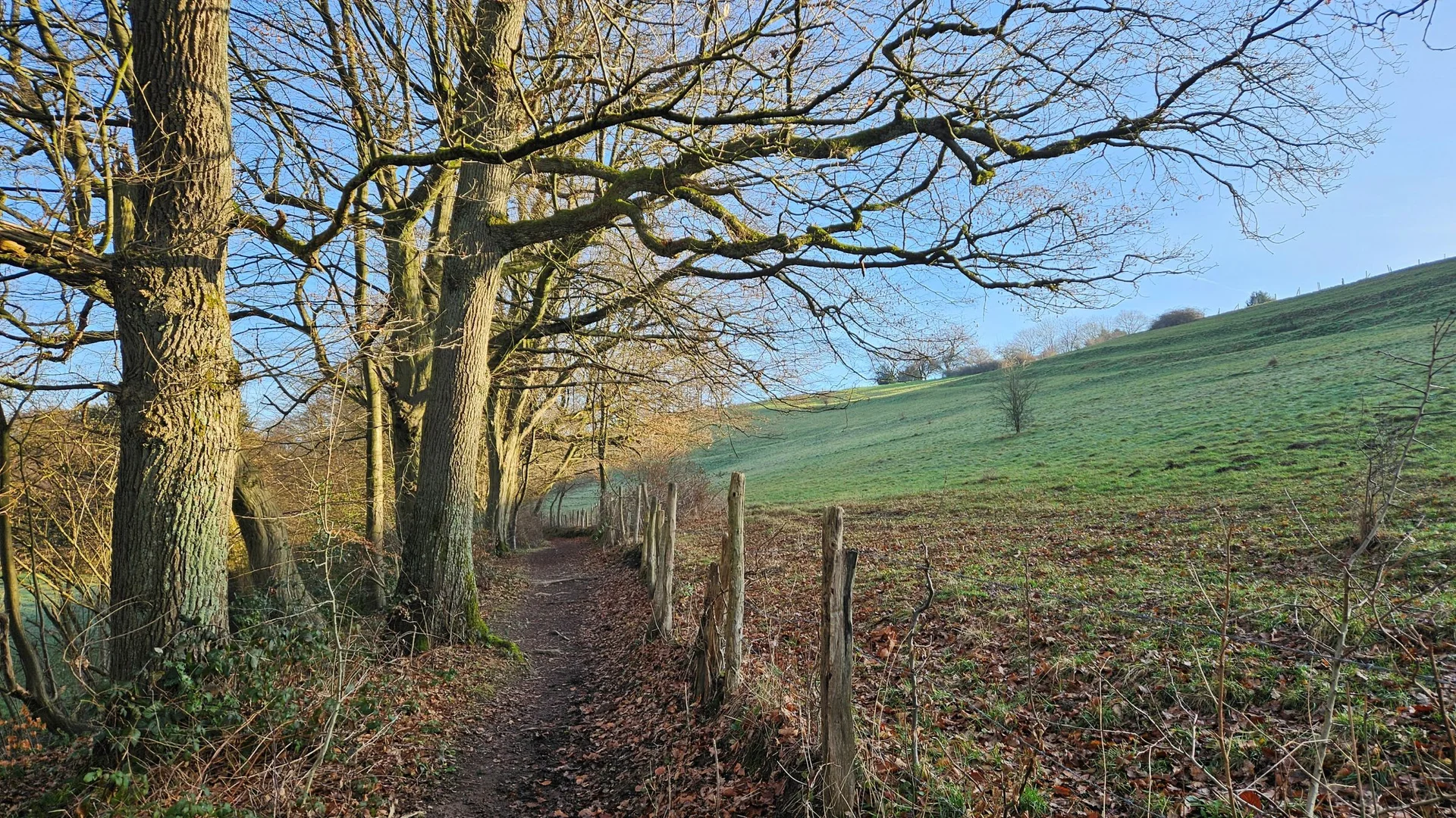 Motiv Wandern Anke Steinfeld 4 | © Anke Steinfeld