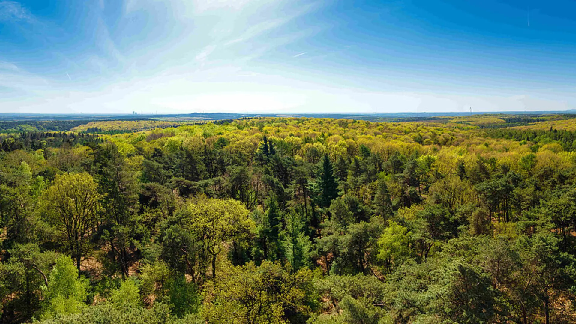 Panorama der Haard | © By DerMische - Own work, CC BY-SA 4.0, https://commons.wikimedia.org/w/index.php?curid=78801259
