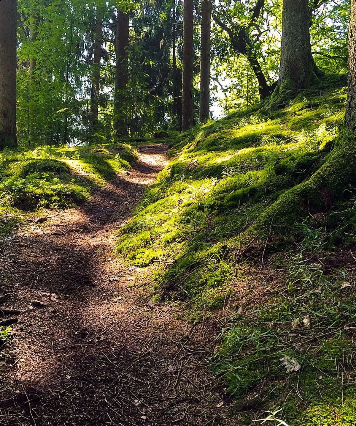 Natursteig Sieg | © Wildganz/Knopp