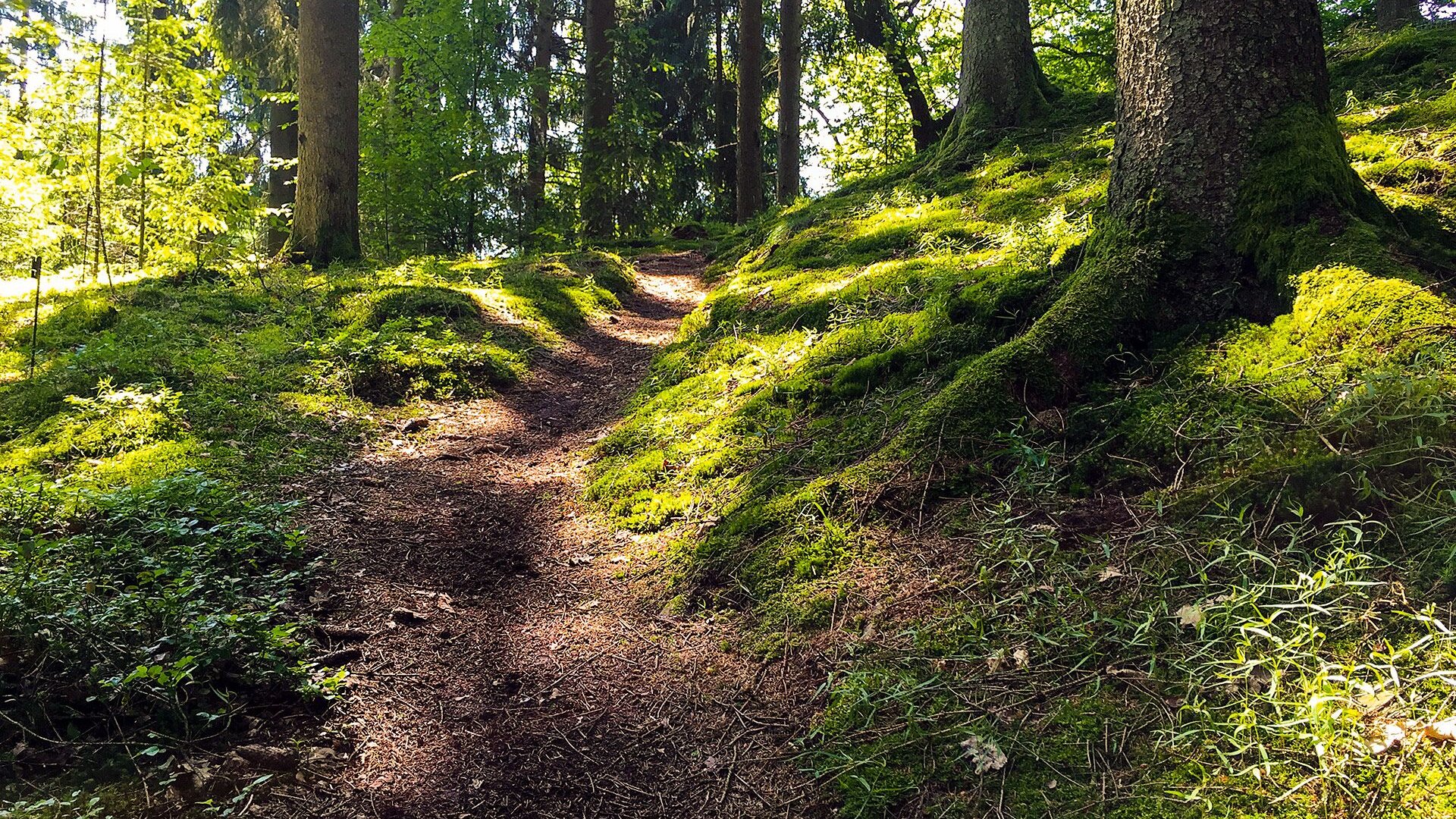 Natursteig Sieg | © Wildganz/Knopp Natursteig Sieg | © Wildganz/Knopp