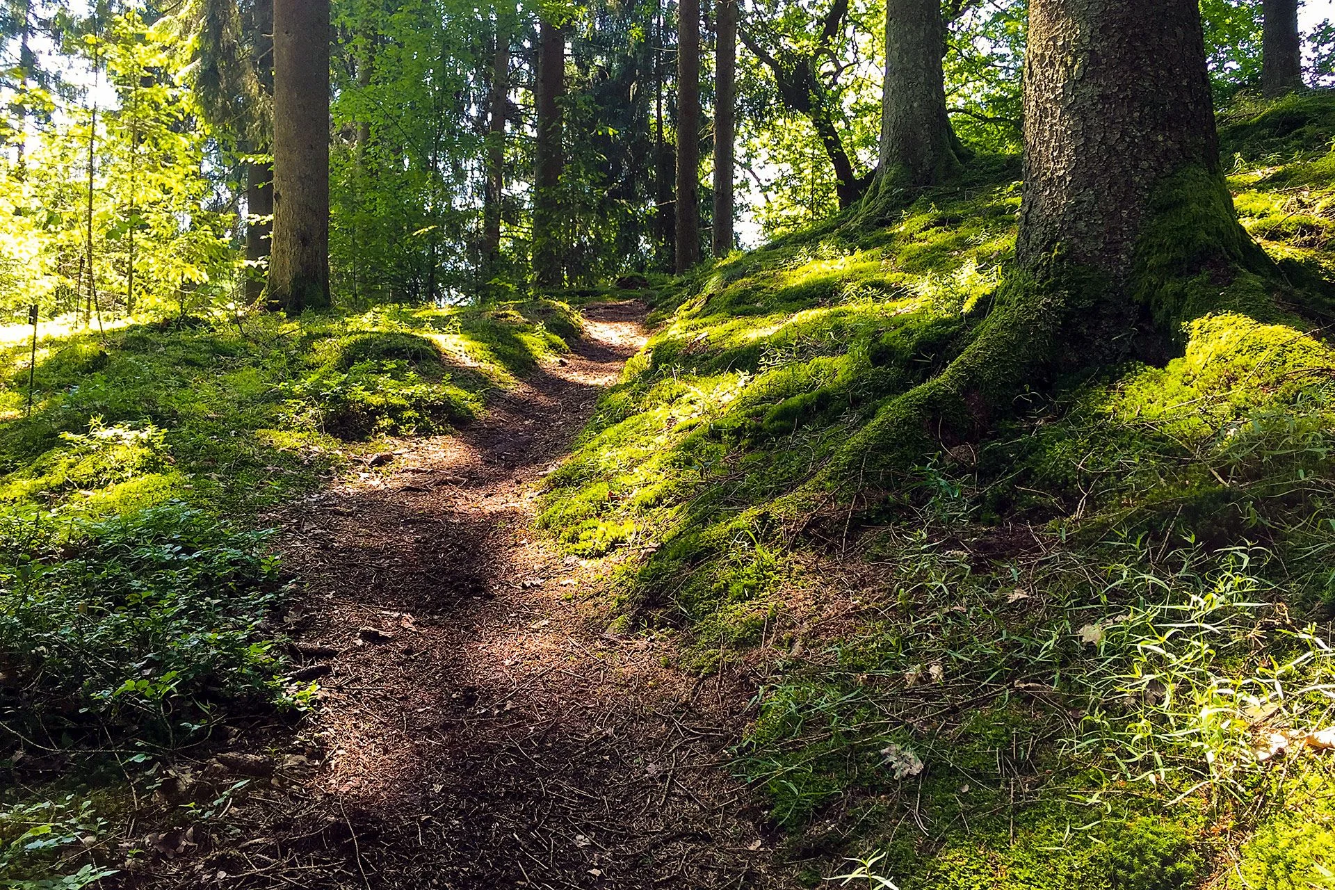 Natursteig Sieg | © Wildganz/Knopp