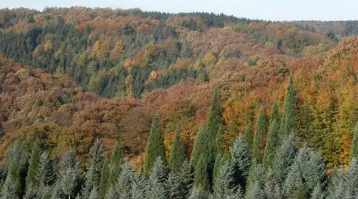 Arboretum Burgholz | © wuppertals-gruene-anlagen.de