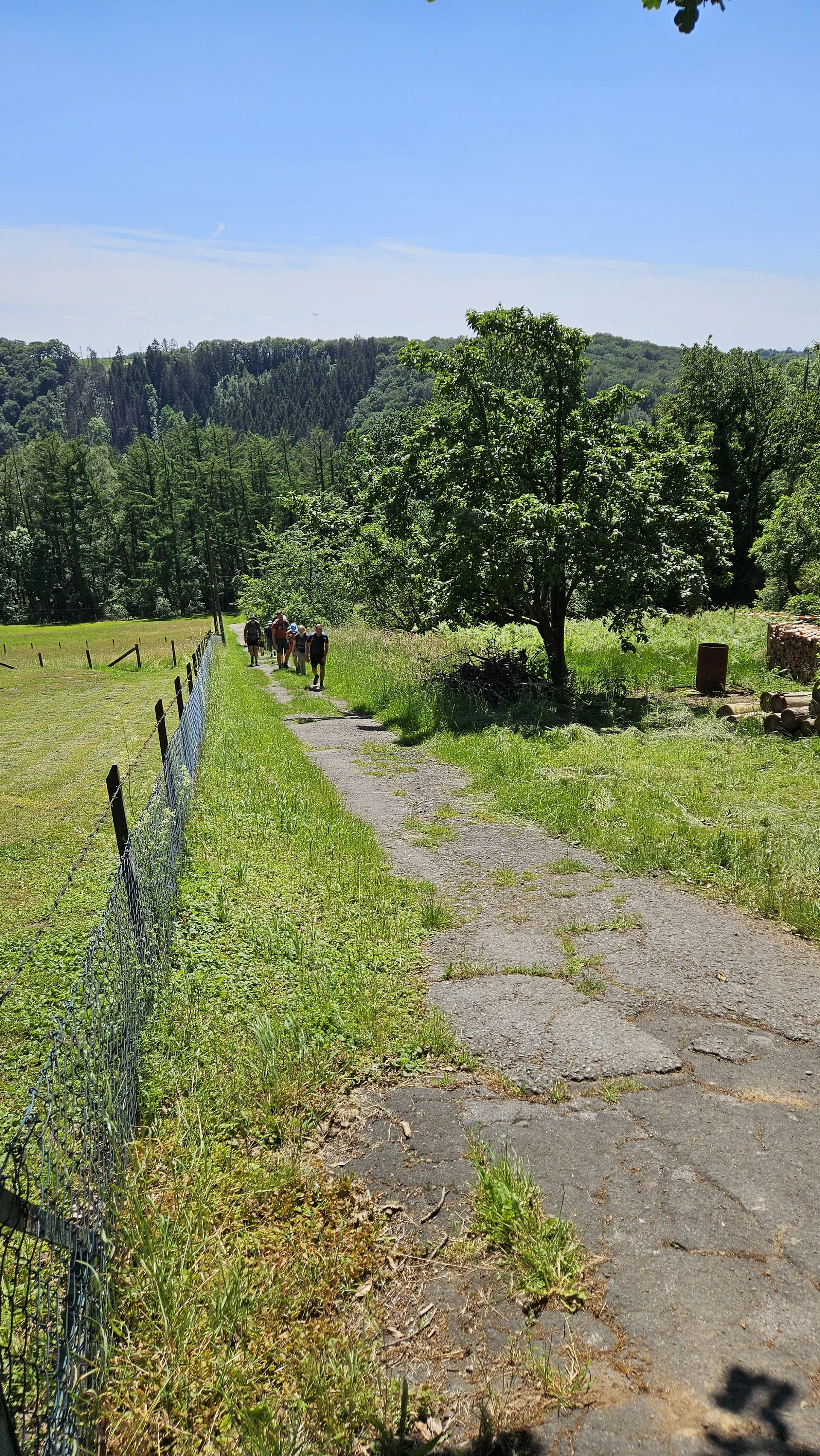 Friedrichshöhe | © Anke Steinfeld
