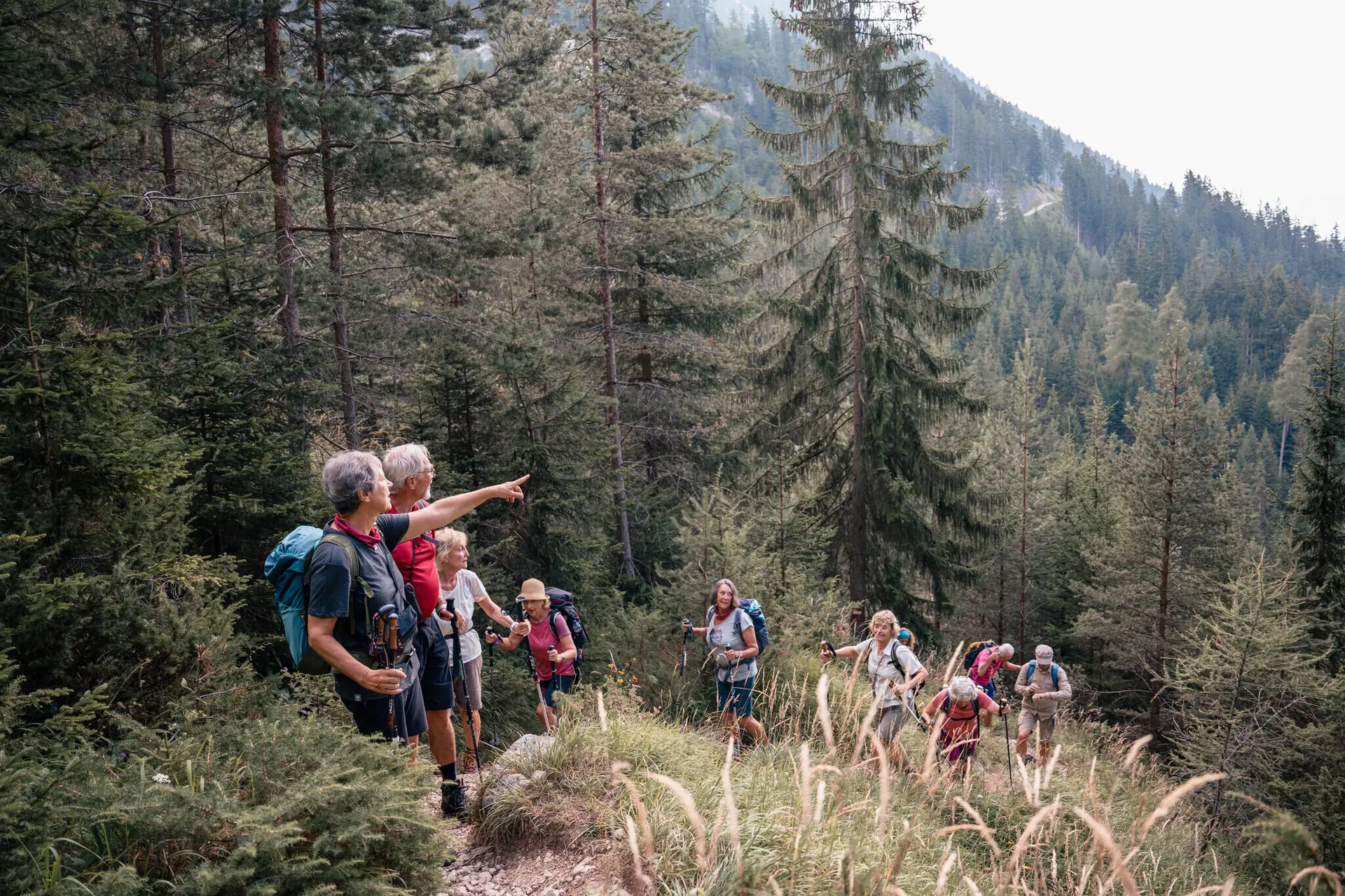 Sen-Ehrenamt_Wanderpfad | © DAV Sen-Ehrenamt_Wanderpfad