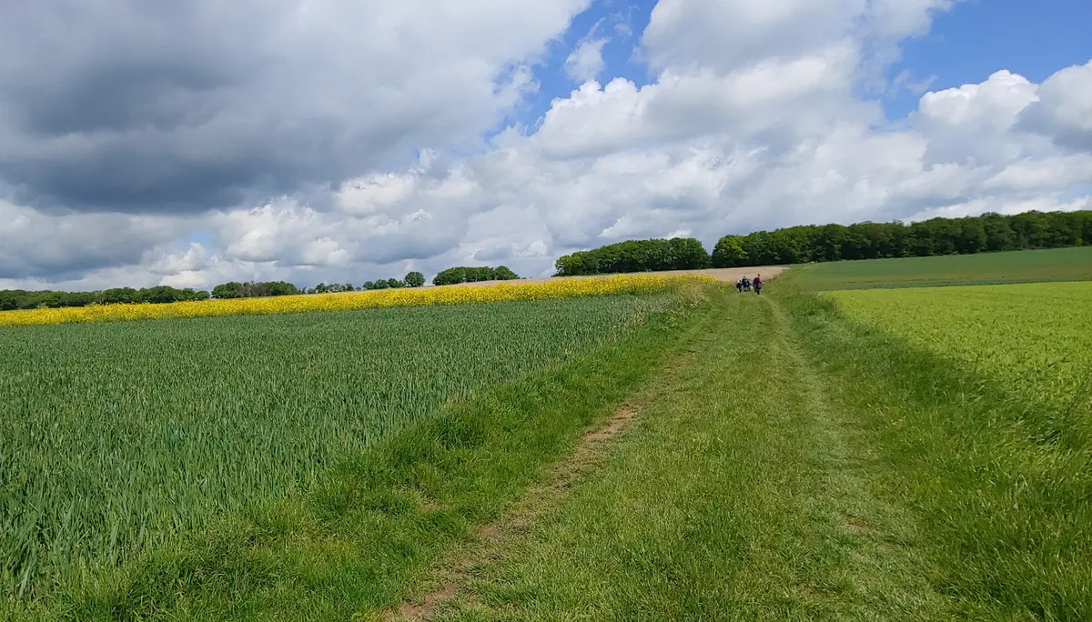 Vitaltour Felsengarten, Kirn, Hunsrück | © Uwe Drath