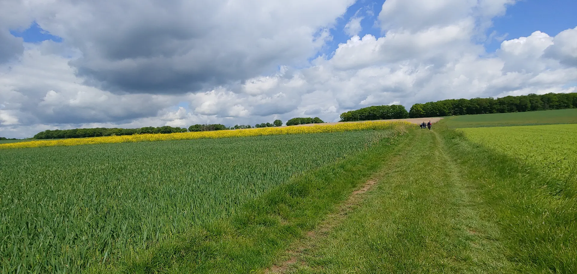 Vitaltour Felsengarten, Kirn, Hunsrück | © Uwe Drath