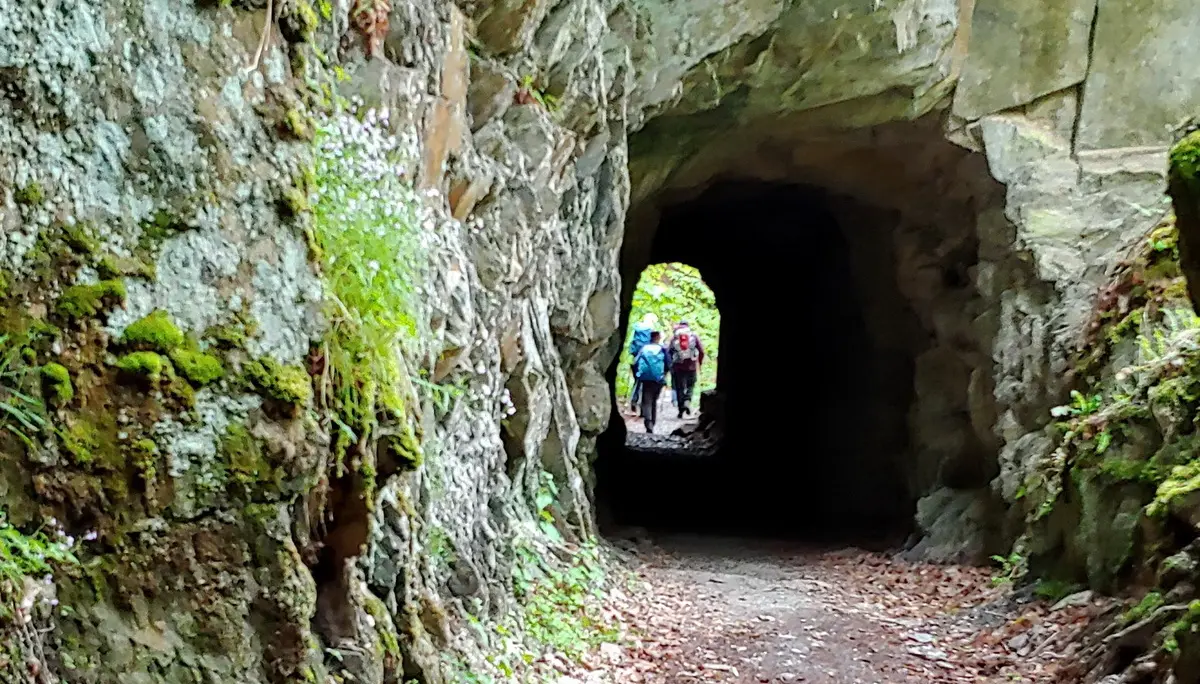 Vitaltour Hahnenbachtal, Schmidtburg, Hunsrück | © Uwe Drath