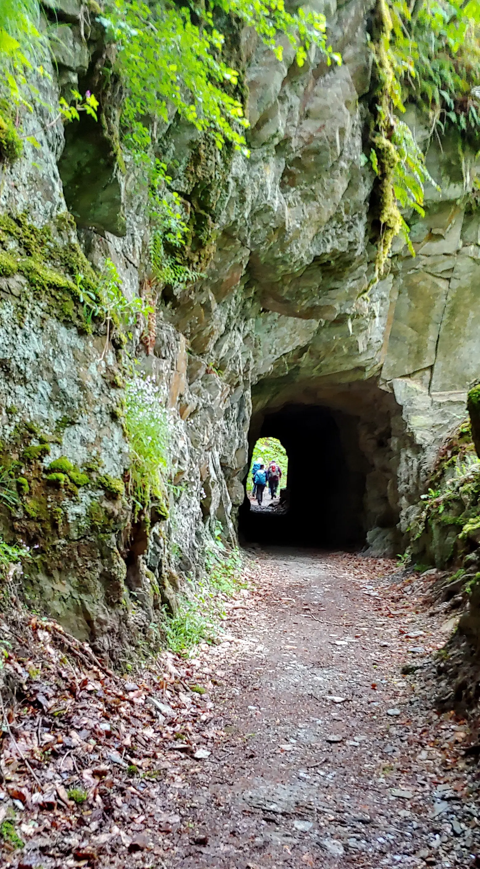 Vitaltour Hahnenbachtal, Schmidtburg, Hunsrück | © Uwe Drath