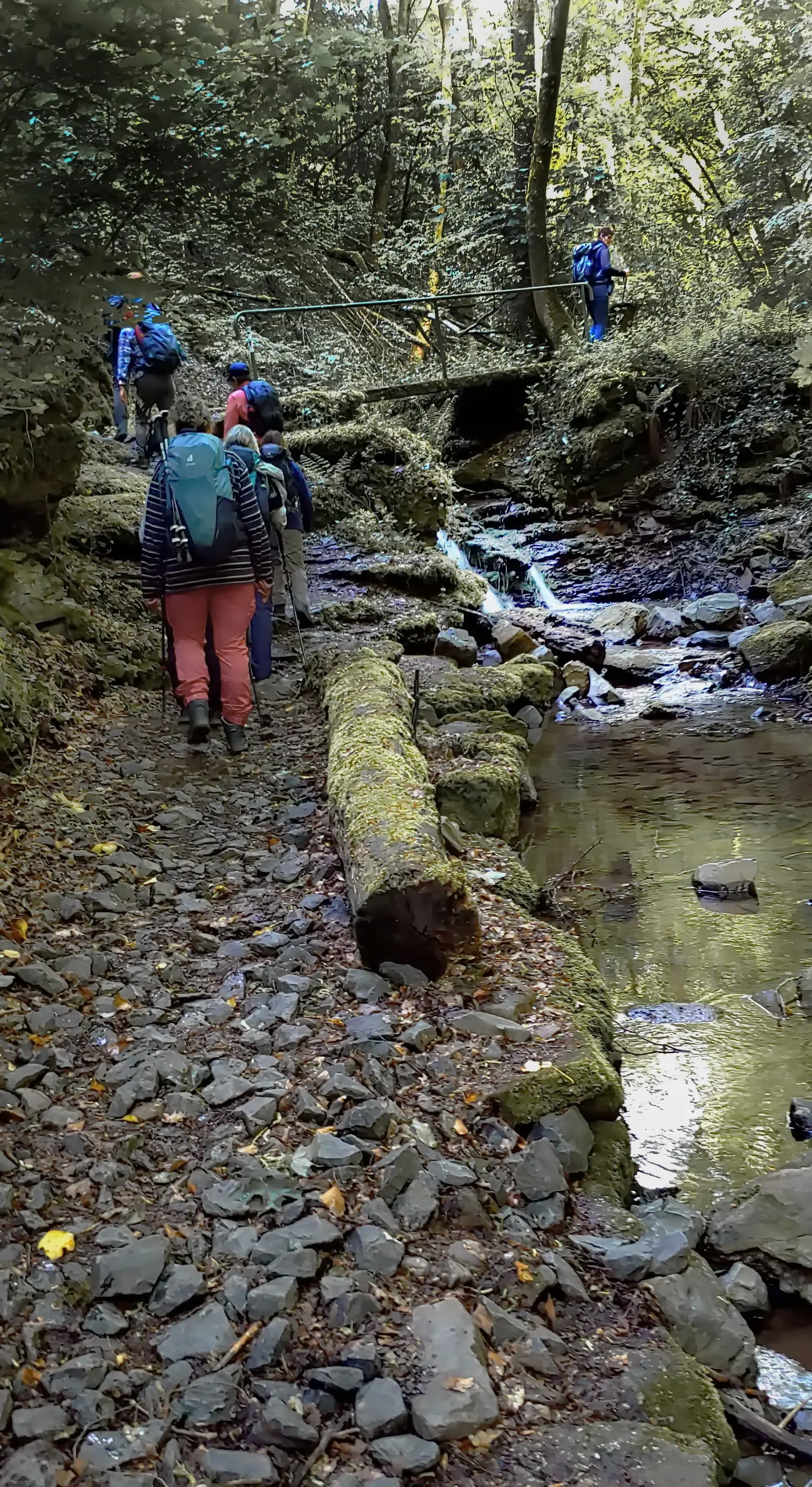 Drei Burgen-Weg, Trübenbachtal-Hildegard v. Bingen-Weg, Kirn, Hunsrück | © Uwe Drath