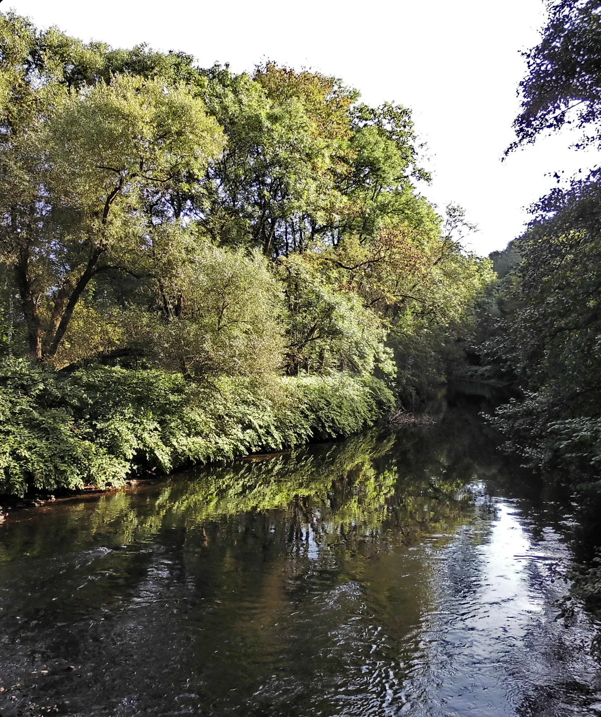 Wupper, Leichlinger Uferweg | © Uwe Drath