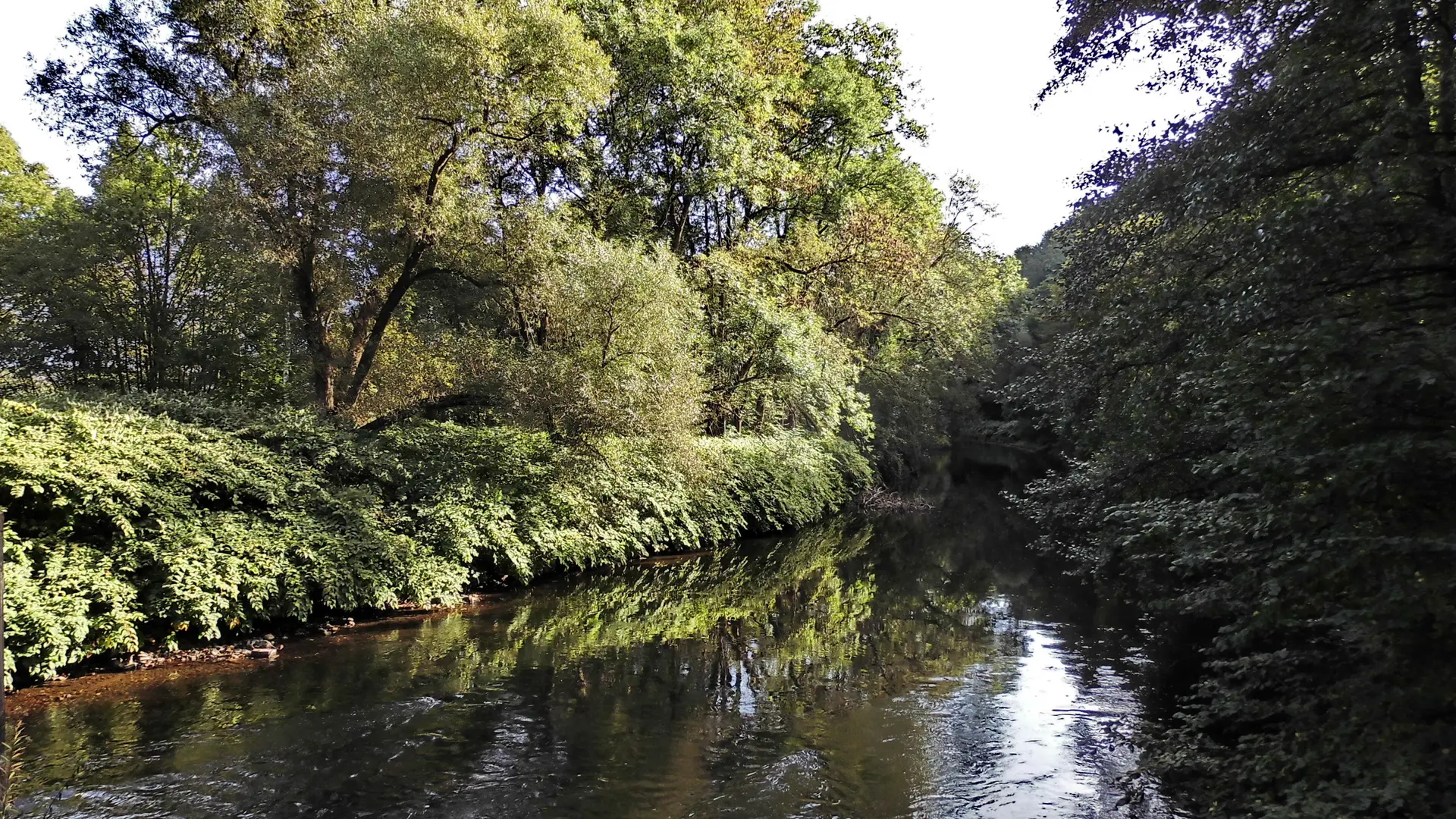 Wupper, Leichlinger Uferweg | © Uwe Drath