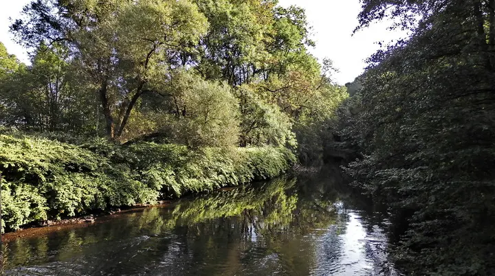 Wupper, Leichlinger Uferweg | © Uwe Drath