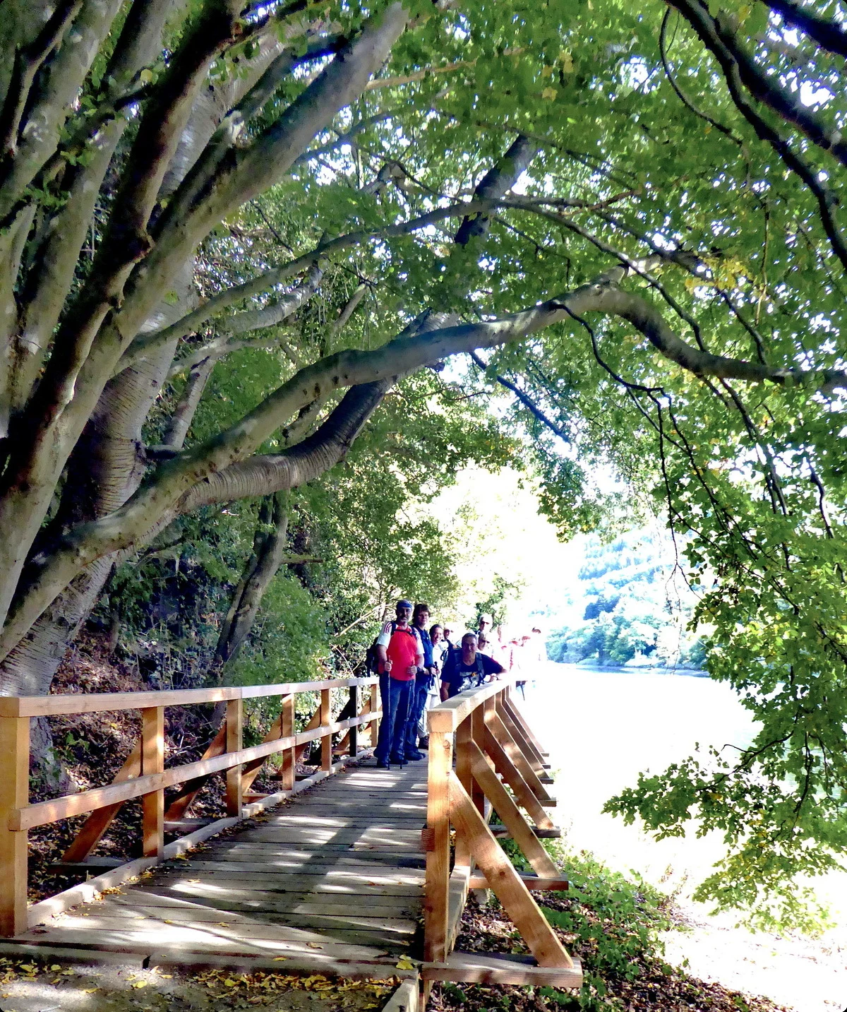 Heimbach Rurtal, Dschungelpfad | © Uwe Drath