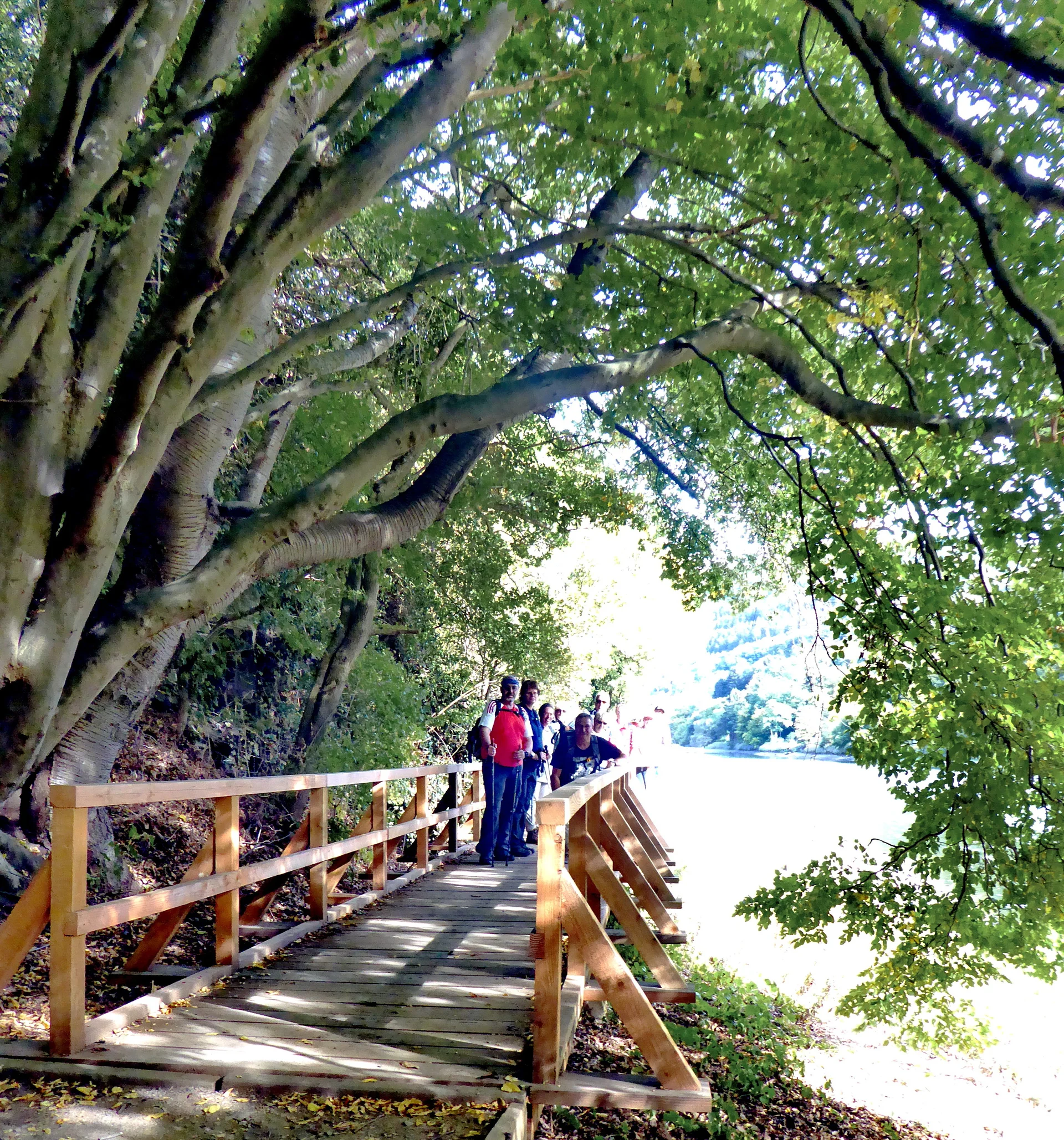 Heimbach Rurtal, Dschungelpfad | © Uwe Drath