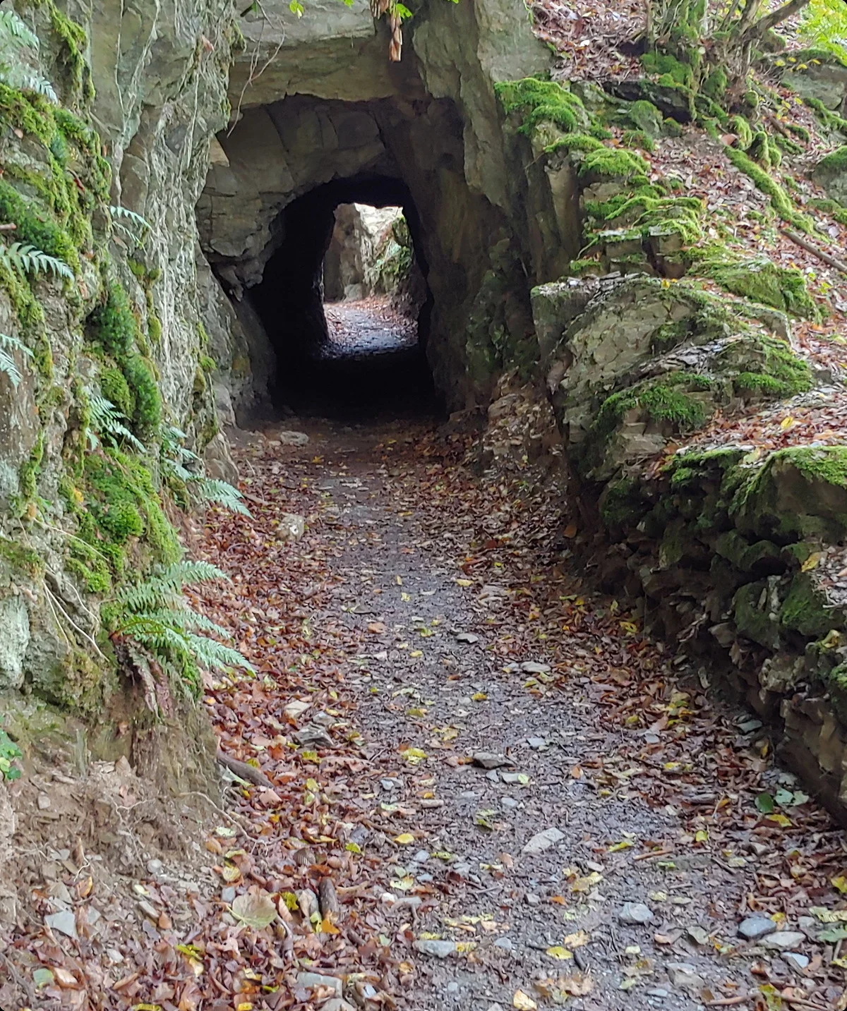 Hunsrück, Hahnenbach Vitaltour | © Uwe Drath