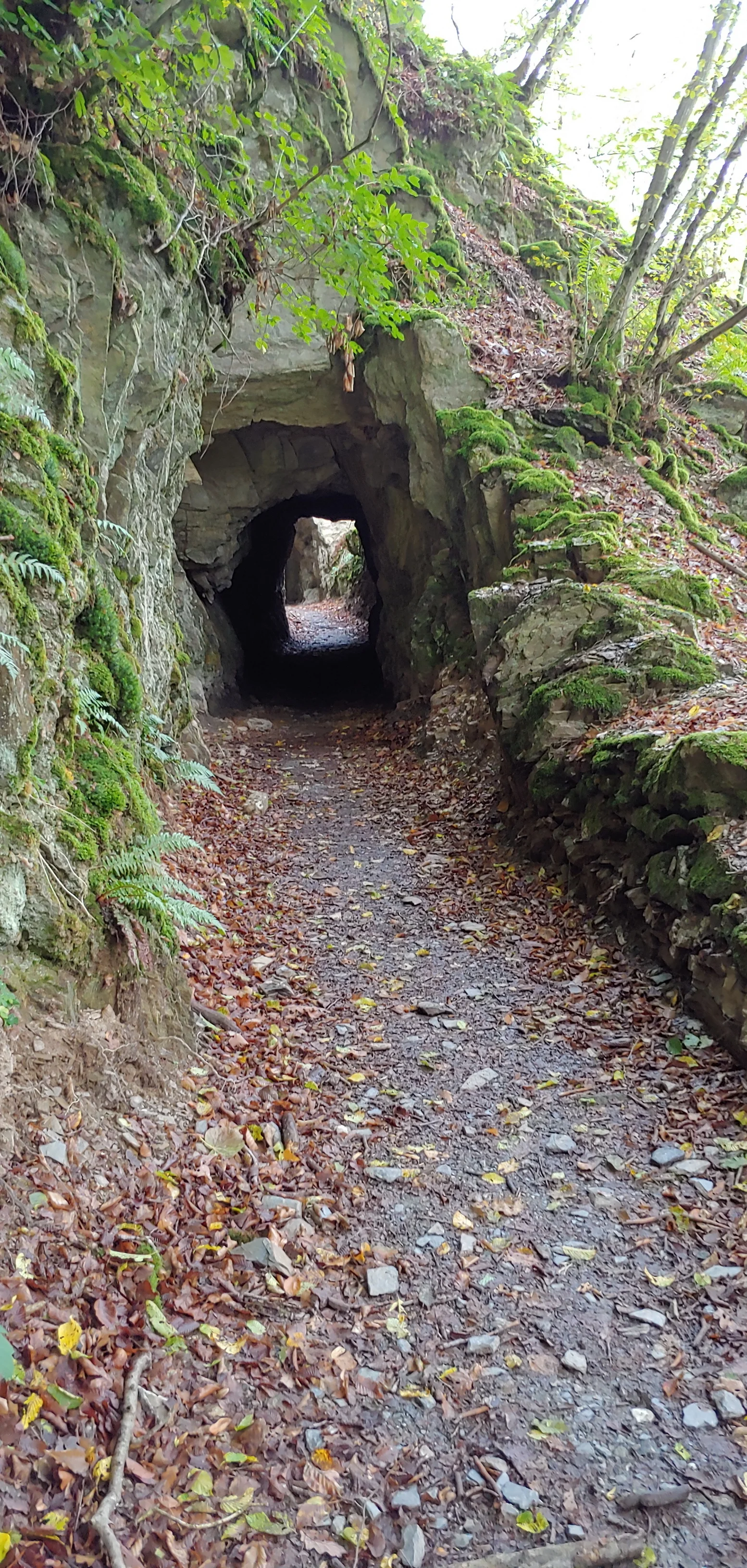 Hunsrück, Hahnenbach Vitaltour | © Uwe Drath