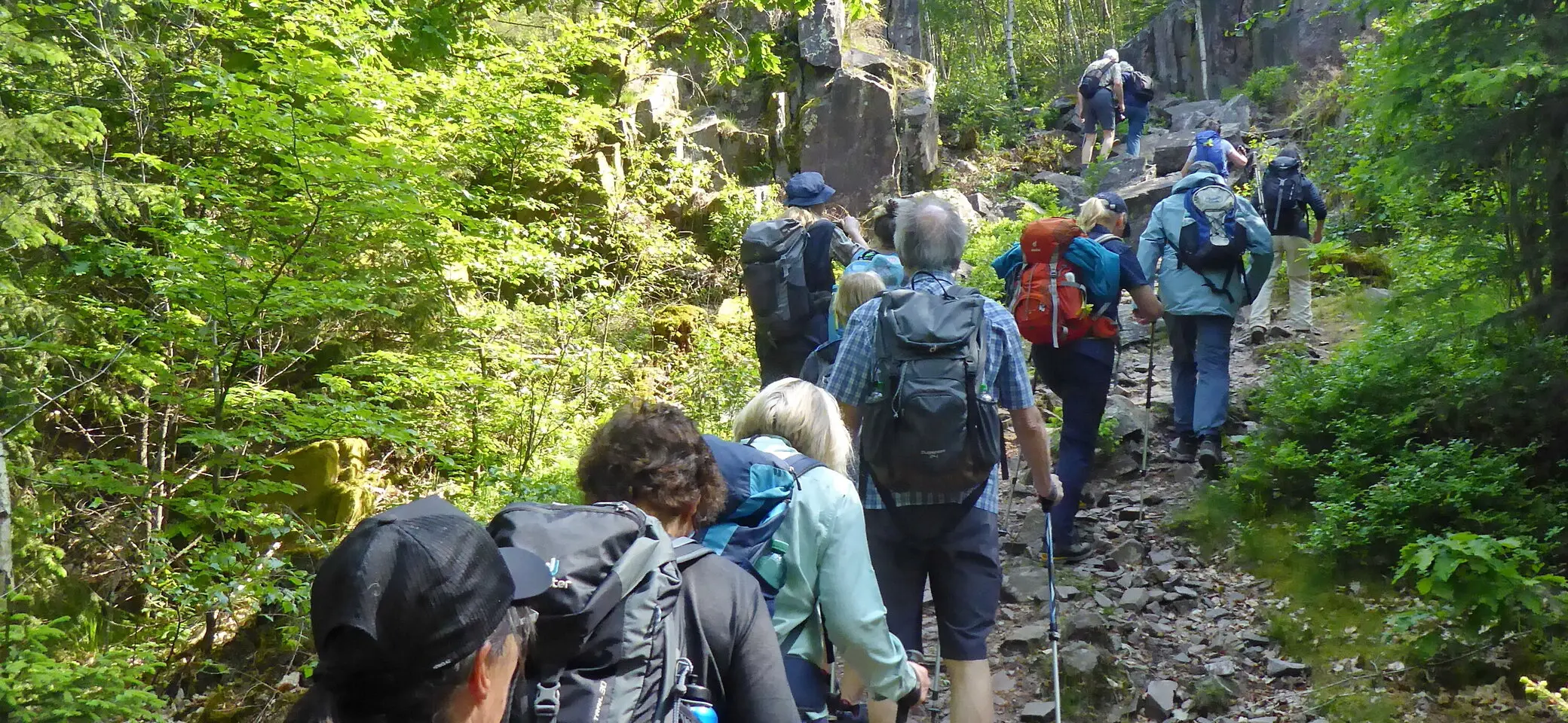 S+H Traumschleife Felsenweg, Aufstieg zum Bärenfels 2023 | © Uwe Drath