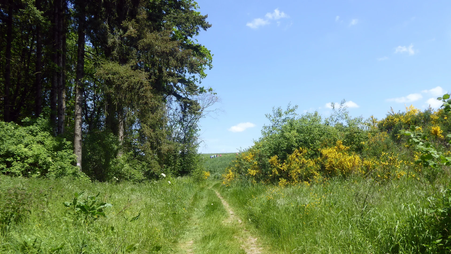 S+H Traumschleife Schillinger Panoramaweg | © Uwe Drath