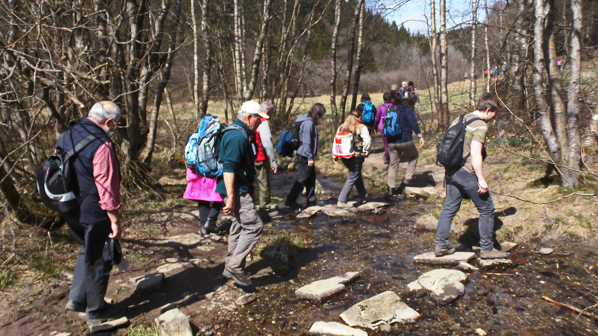 Narzissenwanderweg Eifel | © Uwe Drath Narzissenwanderweg Eifel | © Uwe Drath