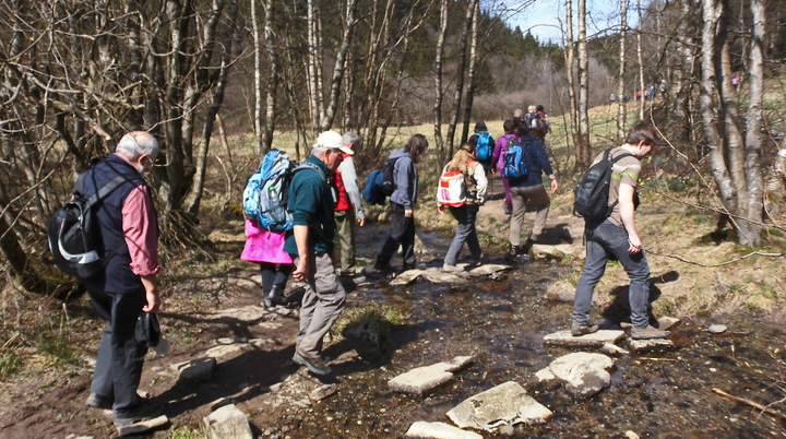 Narzissenwanderweg Eifel | © Uwe Drath