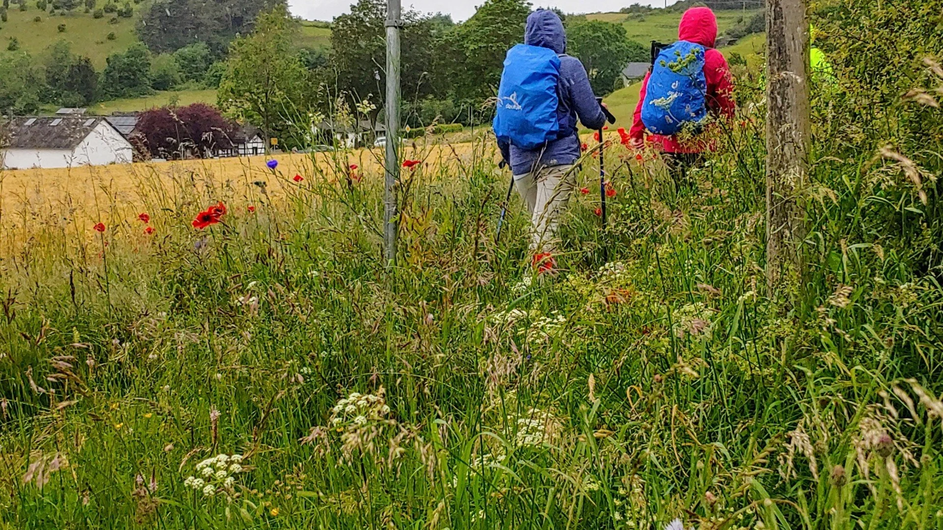 Wandern Eifel Toscana | © Uwe Drath