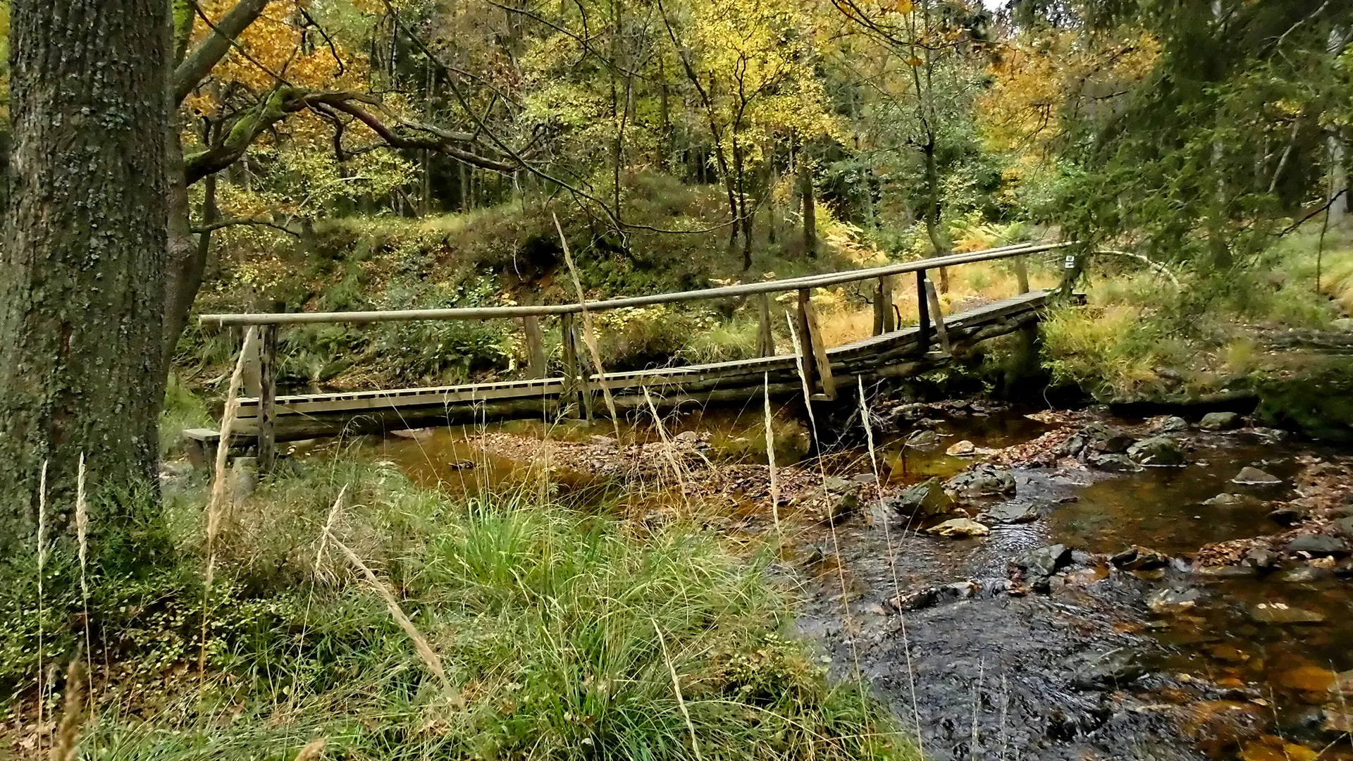Hohes Venn, Brücke im Steinbachtal | © Uwe Drath