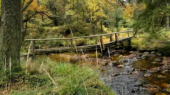 Hohes Venn, Brücke im Steinbachtal | © Uwe Drath