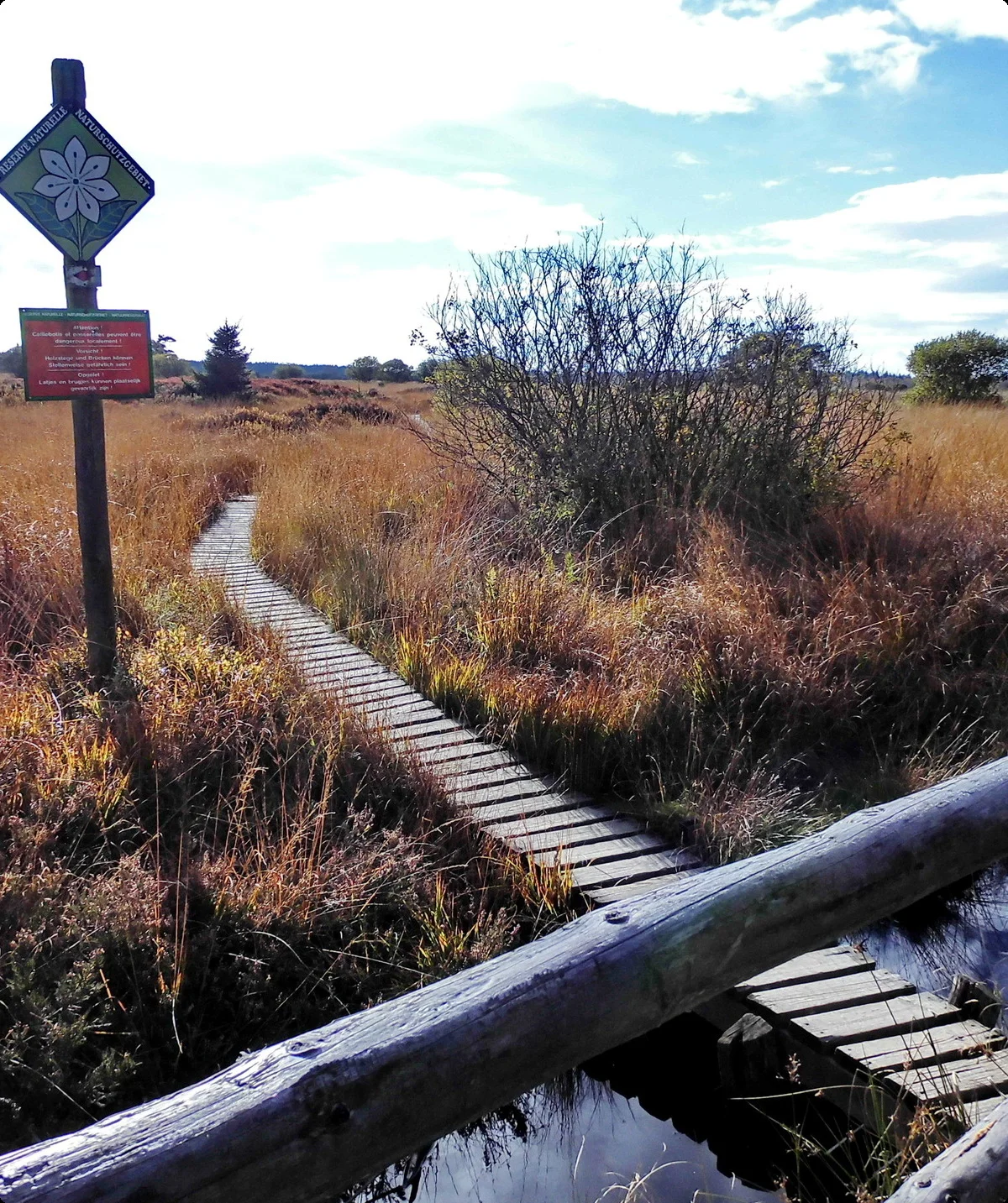 Hohes Venn, Steinley bei Konzen | © Uwe Drath
