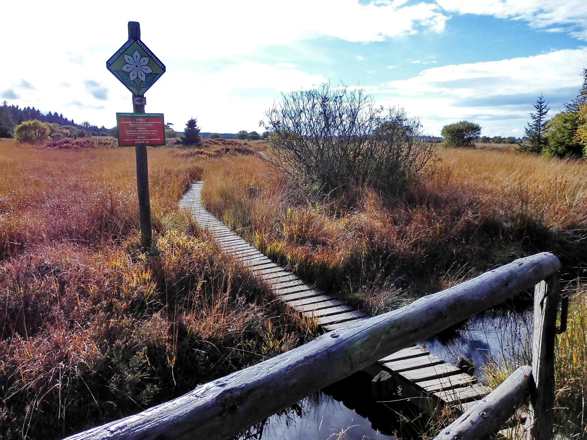 Hohes Venn, Steinley bei Konzen | © Uwe Drath