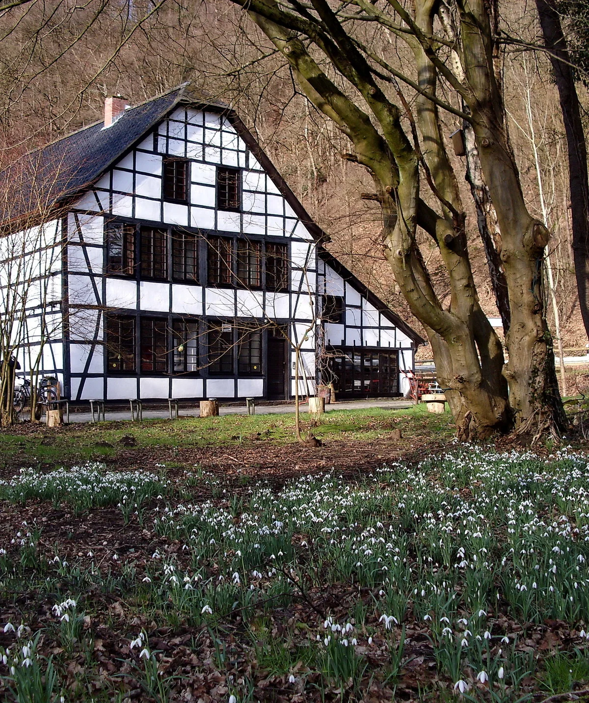 Balkhauser Kotten | © Uwe Drath