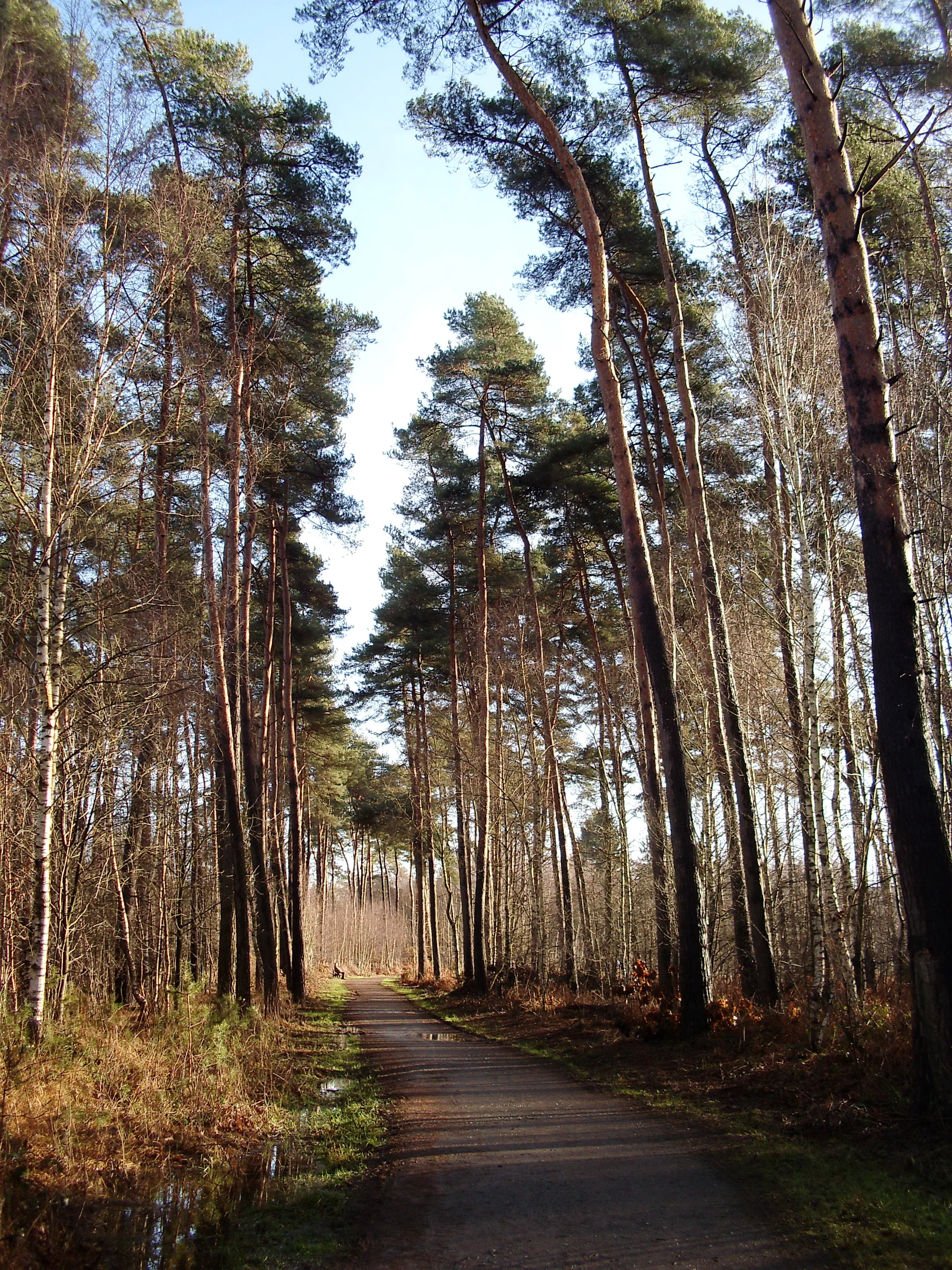 Ohligser Heide | © Uwe Drath