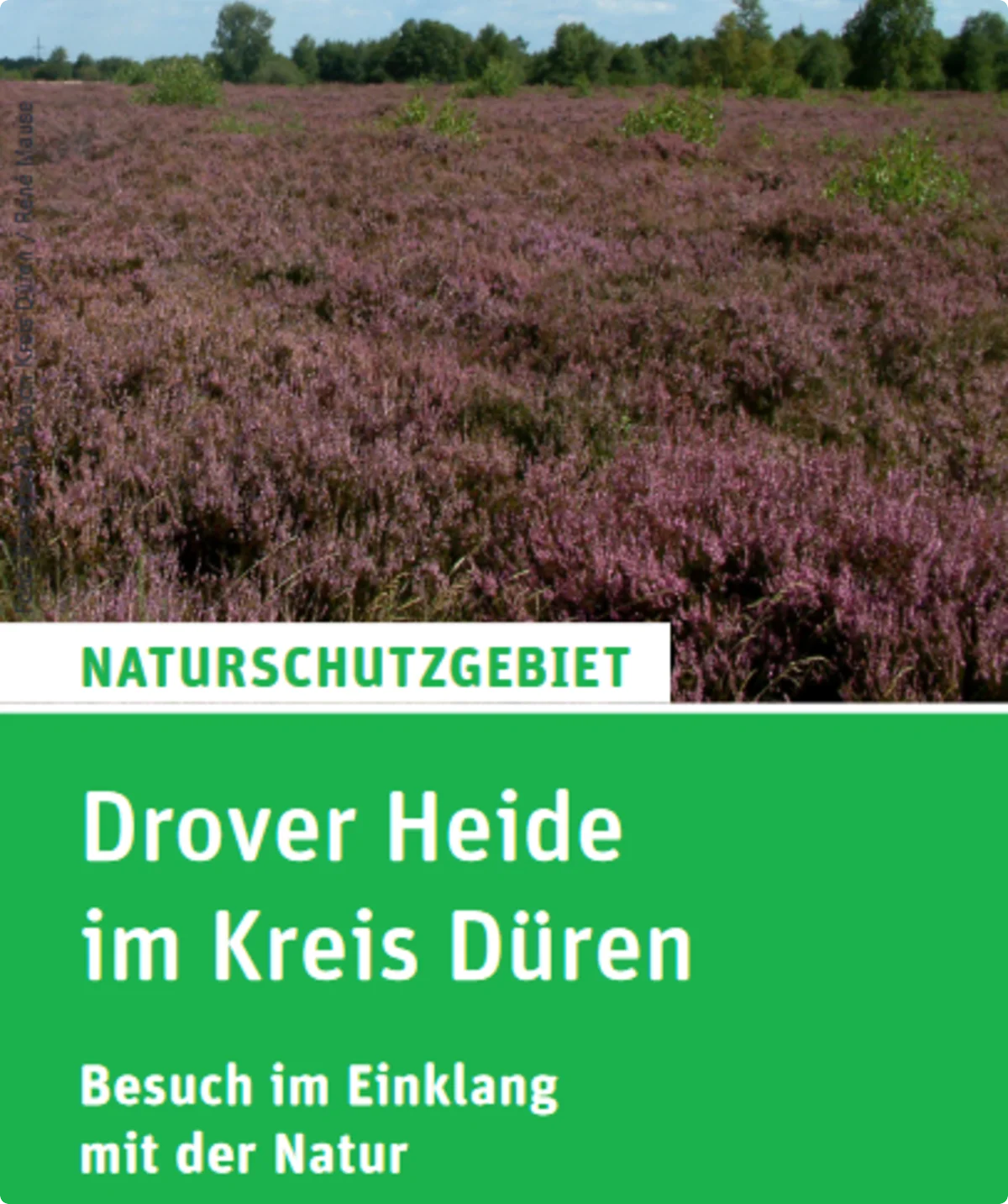 Drover Heide, Infoflyer | © Uwe Drath