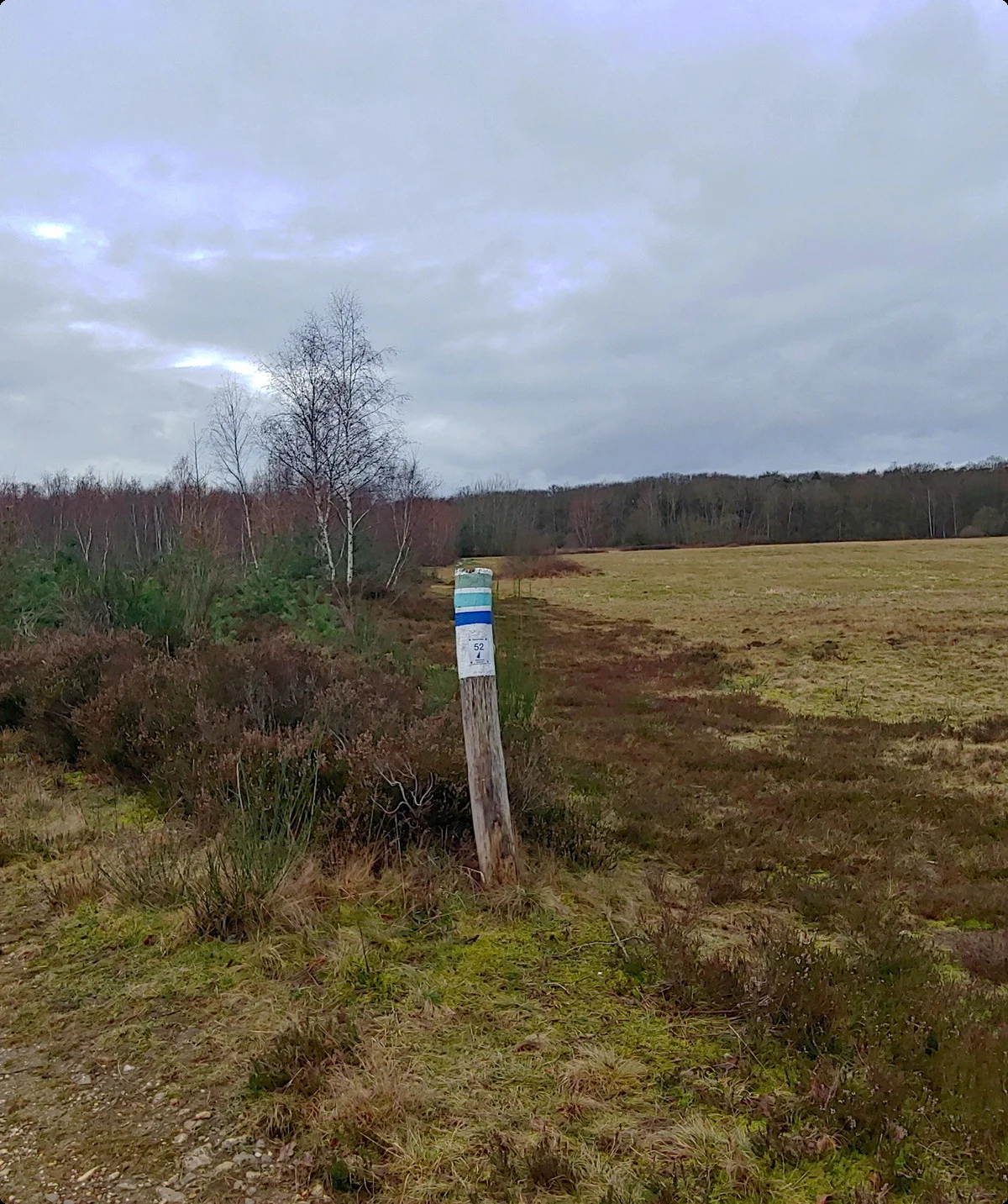 Drover Heide, Heidelandschaft Frühjahr | © Uwe Drath