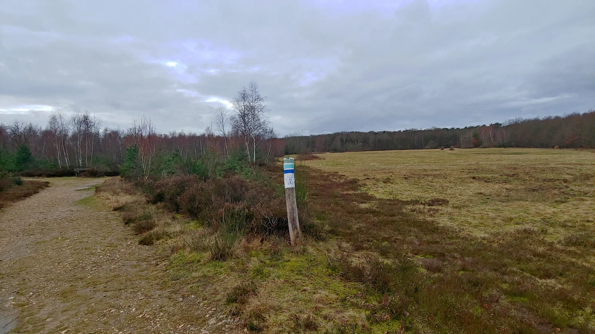 Drover Heide, Heidelandschaft Frühjahr | © Uwe Drath