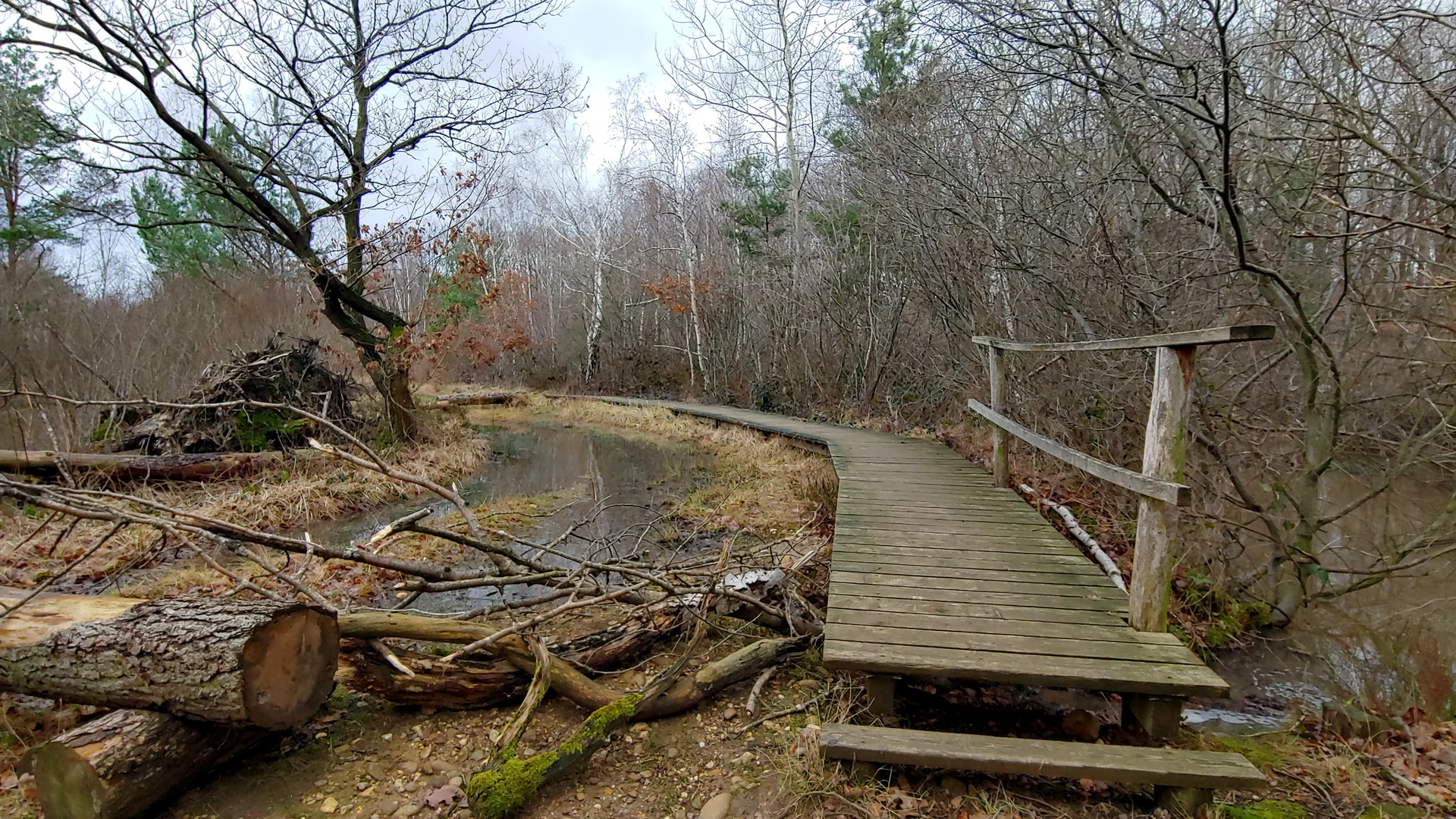 Drover Heide, Feuchtgebiet | © Uwe Drath