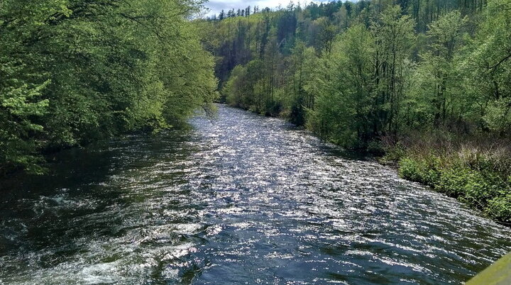 Klingenpfad 2024, Etappe 1+2, Brücke am Wiesenkotten/Wupper | © Susanne Drath