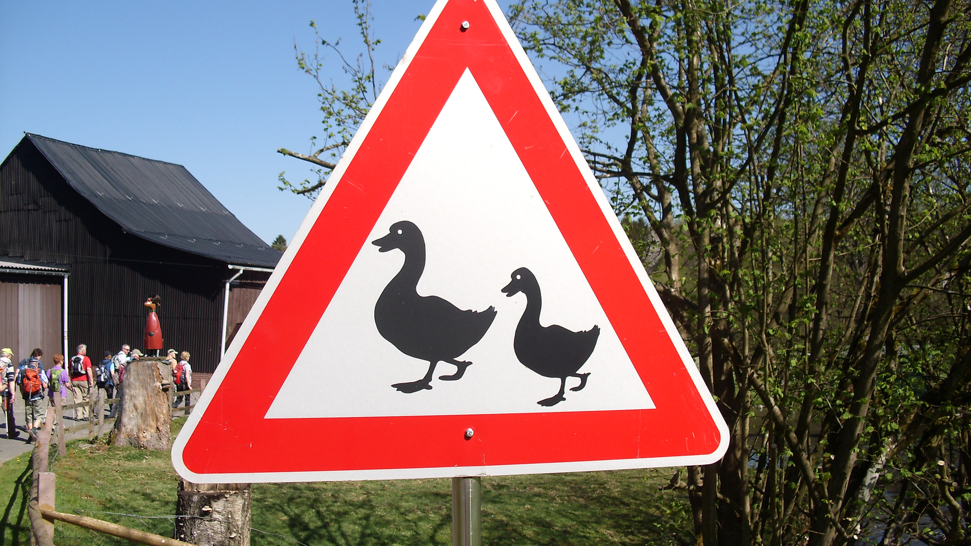 © Uwe Drath Achtung: Gänse im Tefental | © Uwe Drath