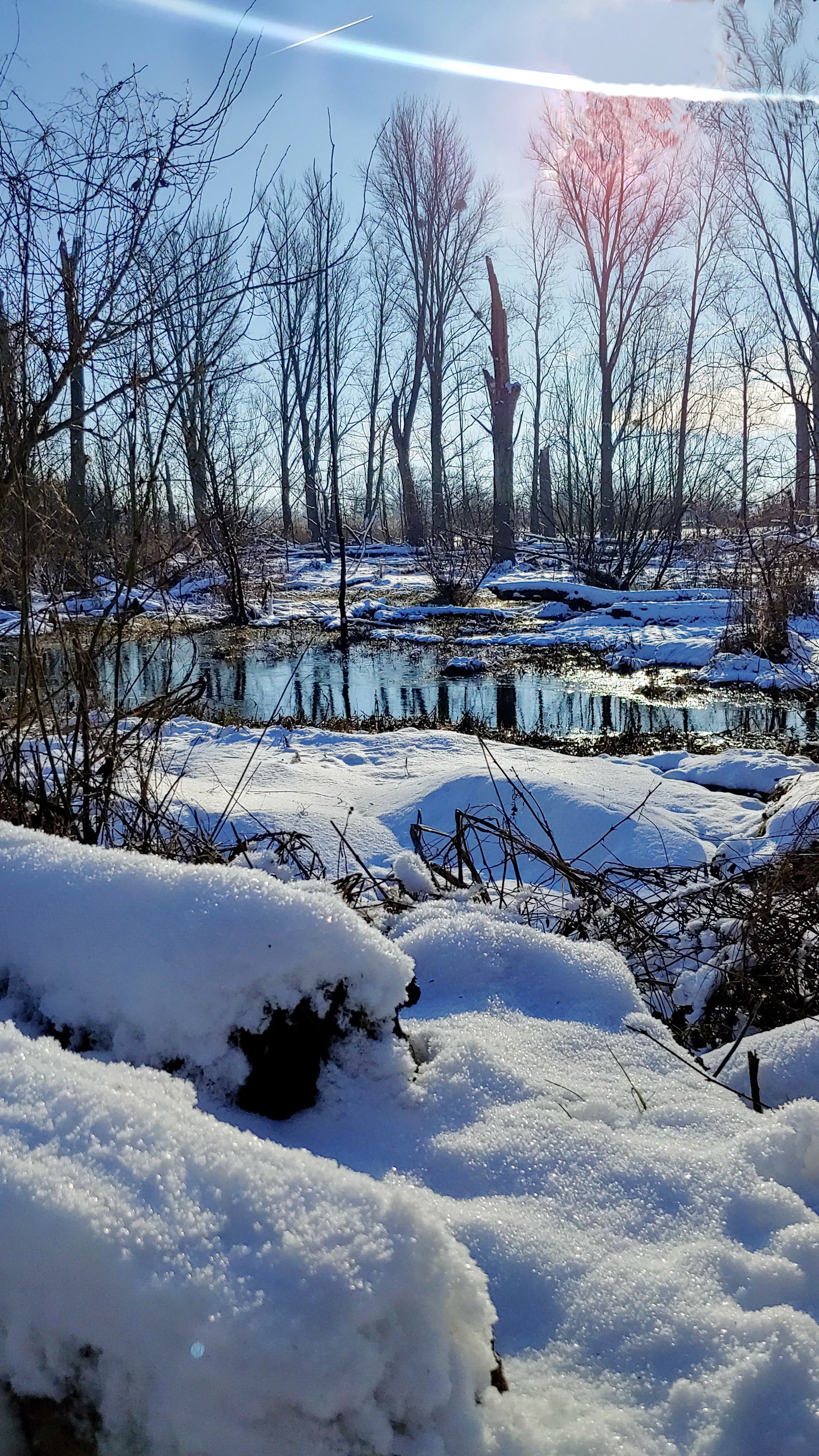 Urdenbacher Kämpe am Altrhein, Winter 2024 | © Uwe Drath