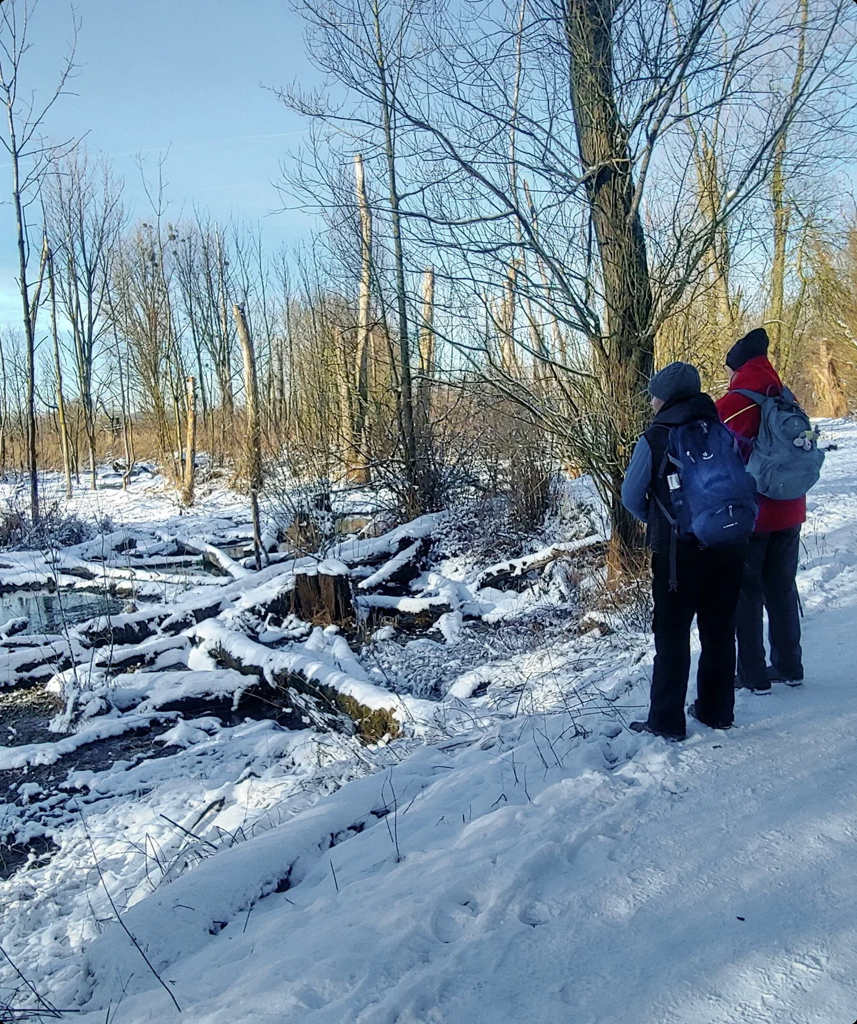 Urdenbacher Kämpe am Altrhein, Winter 2024 | © Uwe Drath