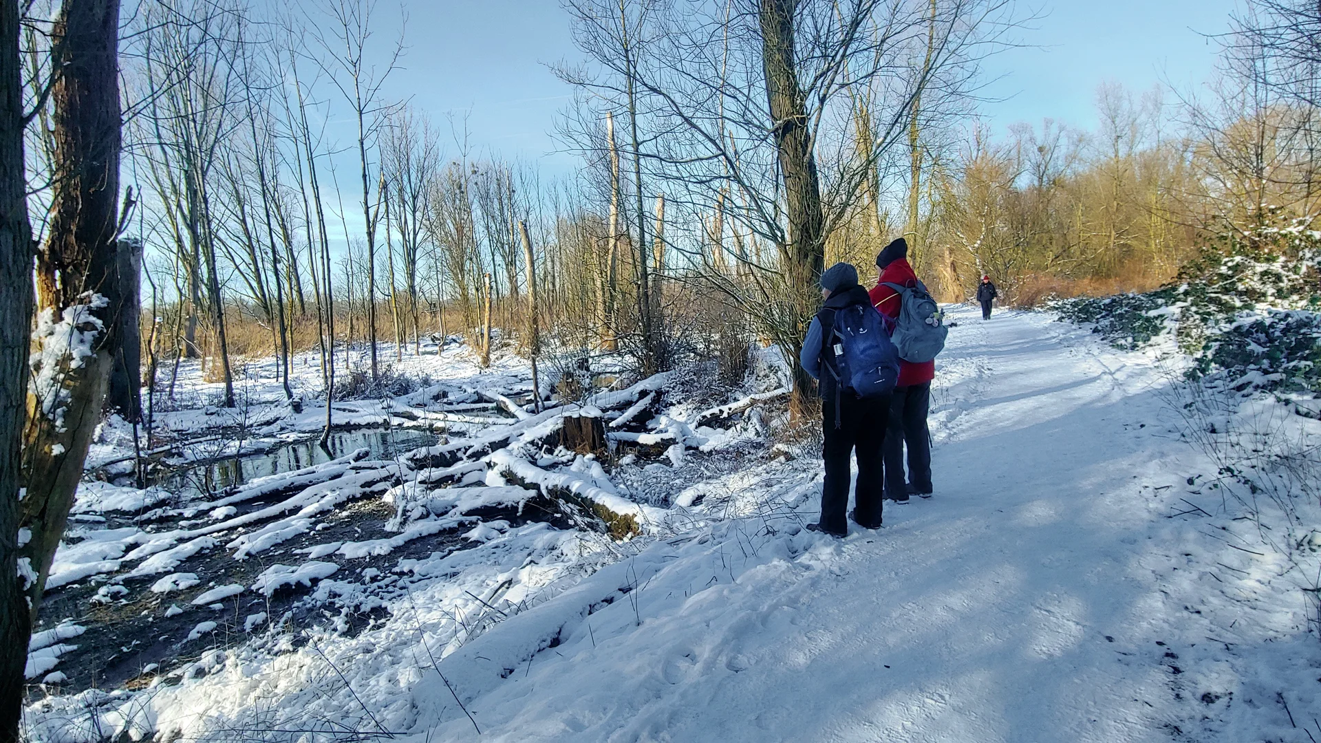 Urdenbacher Kämpe am Altrhein, Winter 2024 | © Uwe Drath