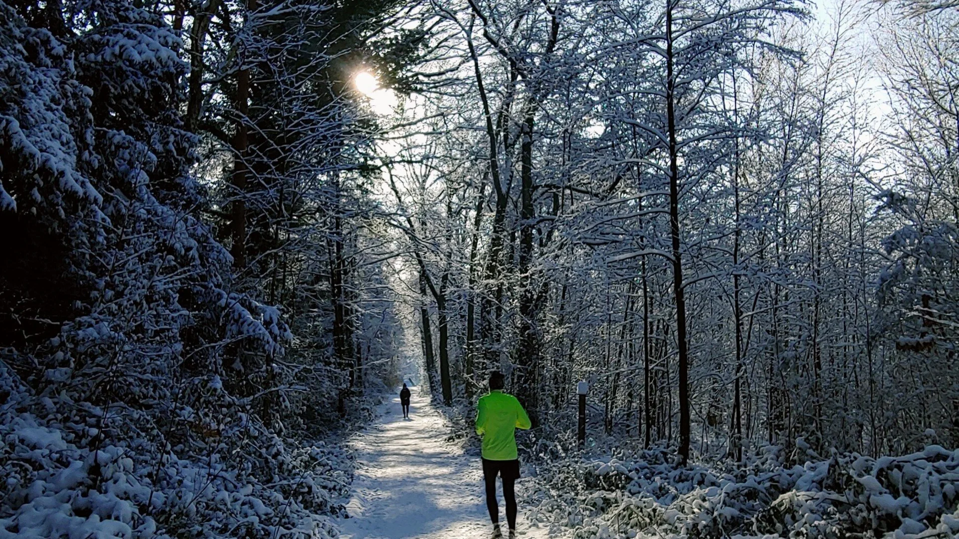 Ohligser Heide,Jogger,Winter 2024 | © Uwe Drath